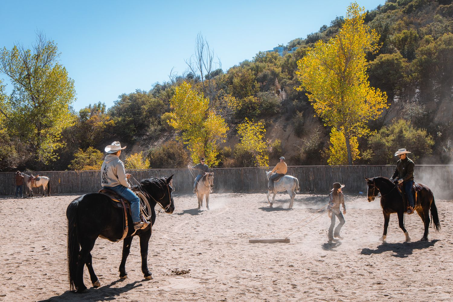 Four riders on dark horses practice in a sandy arena surrounded by golden autumn trees and rolling hills.