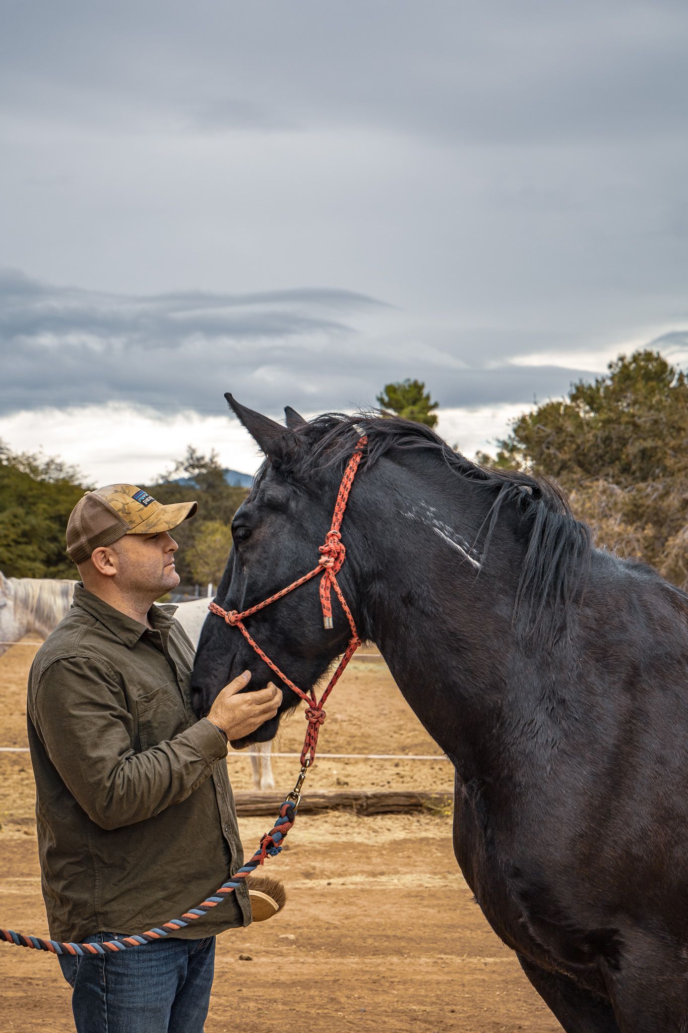 A man in a cap gently touches the face of a black horse wearing a red rope halter outdoors.