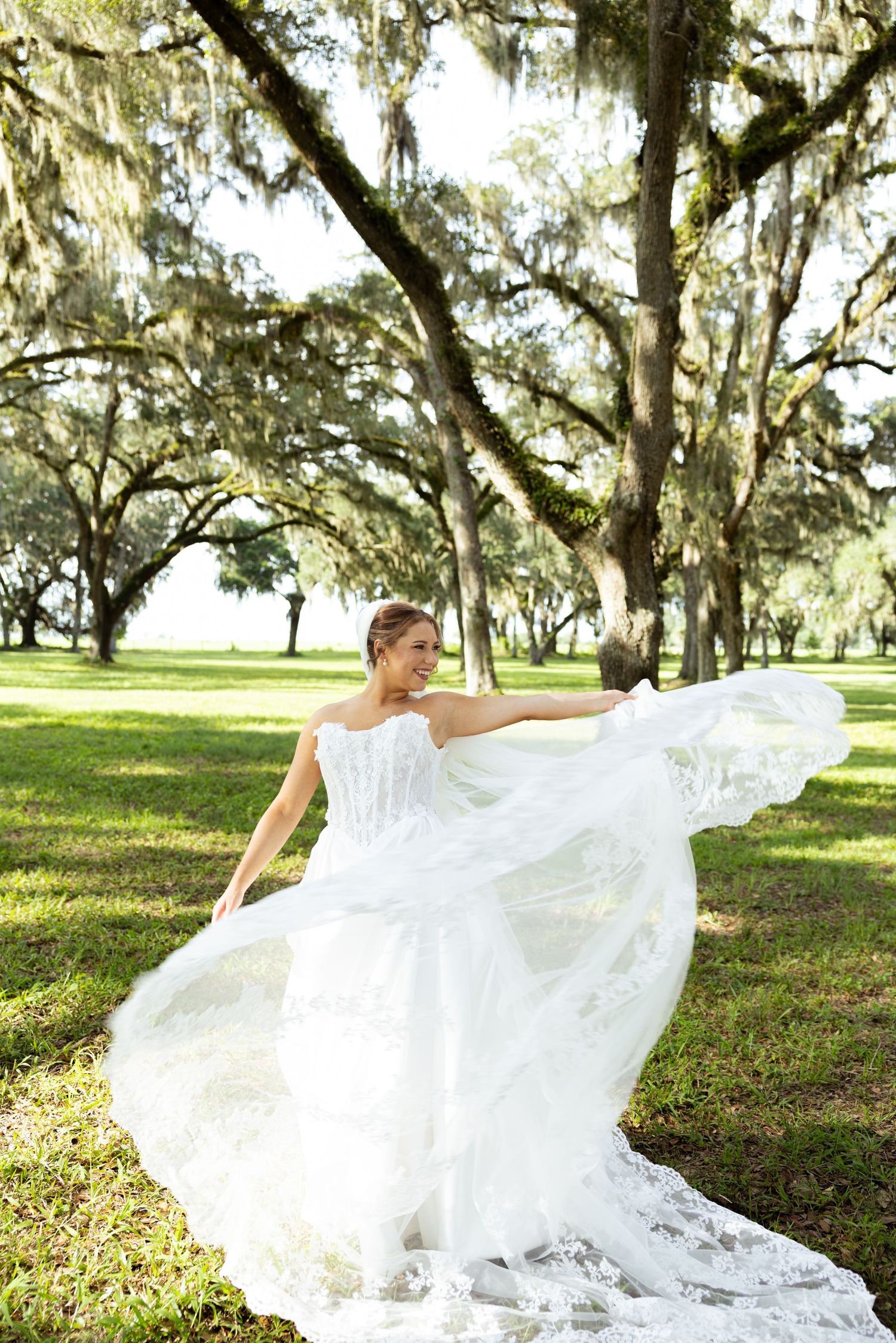 Bride in strapless lace wedding gown twirls skirt under Spanish moss-draped oak trees on green lawn.