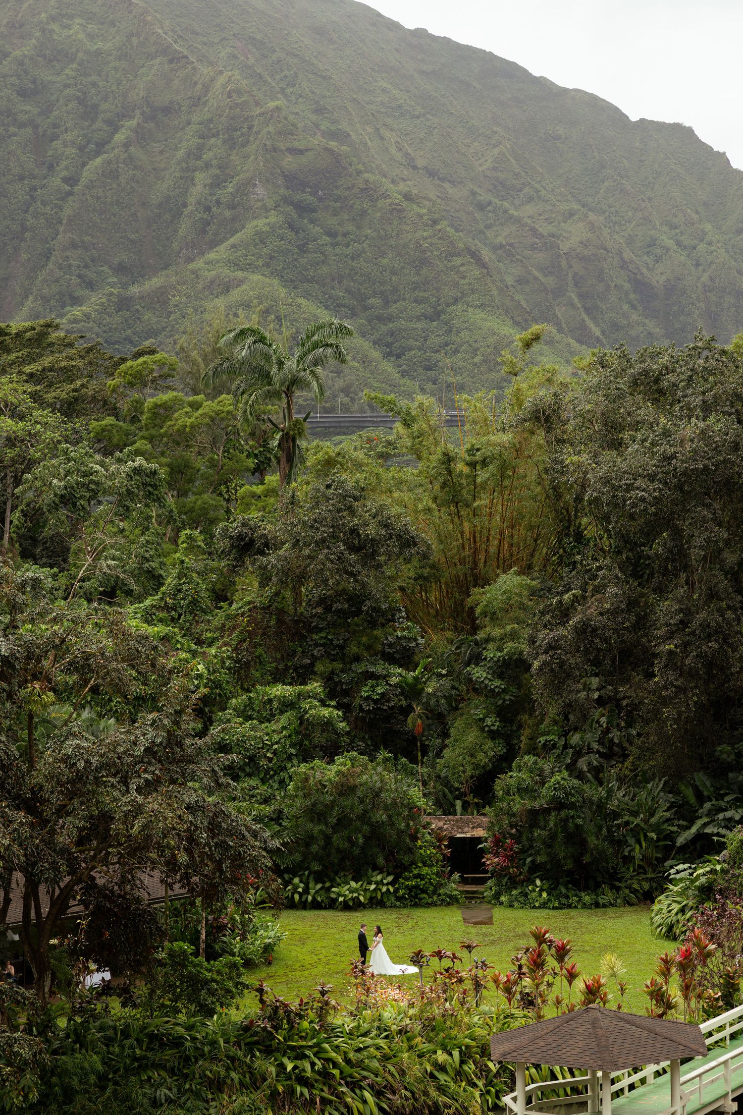 Bride and groom stand in lush green garden with tropical trees and misty mountain backdrop.