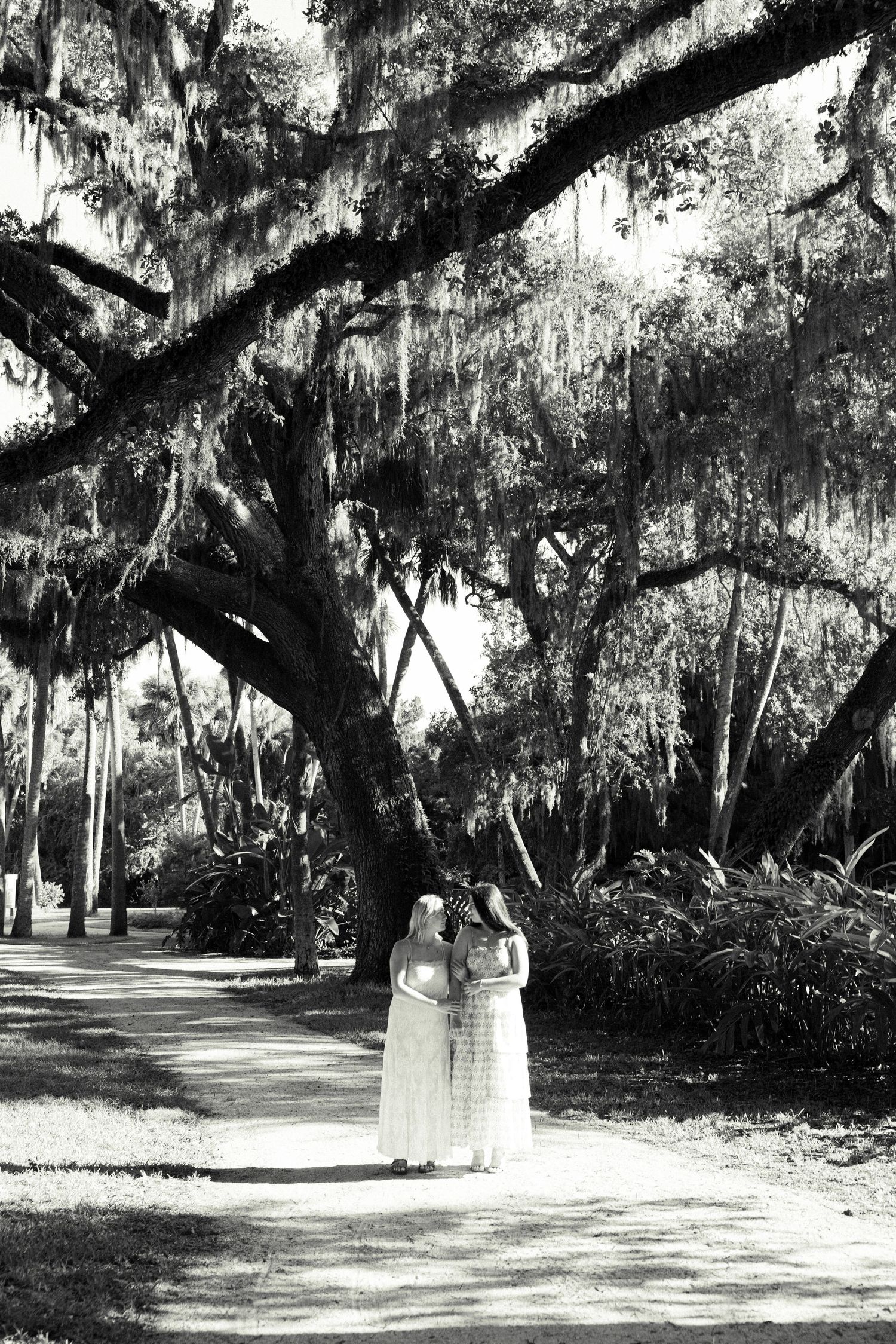 Two brides in white dresses embrace on a shaded path beneath Spanish moss-draped oak trees in a black and white photo.