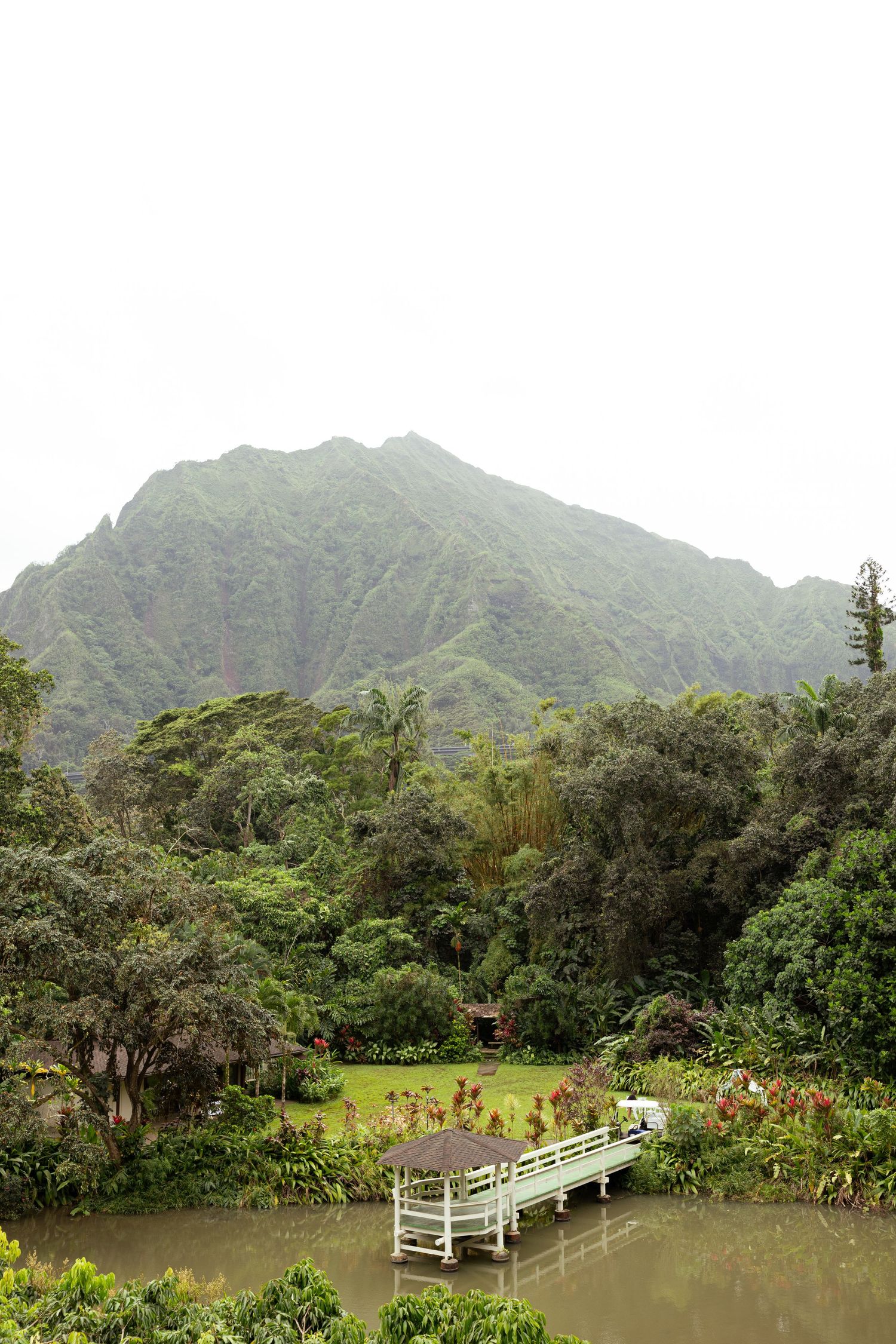 Hawai'i O'ahu Lush tropical garden with a white gazebo dock on a calm pond, framed by dense greenery and misty mountain backdrop.