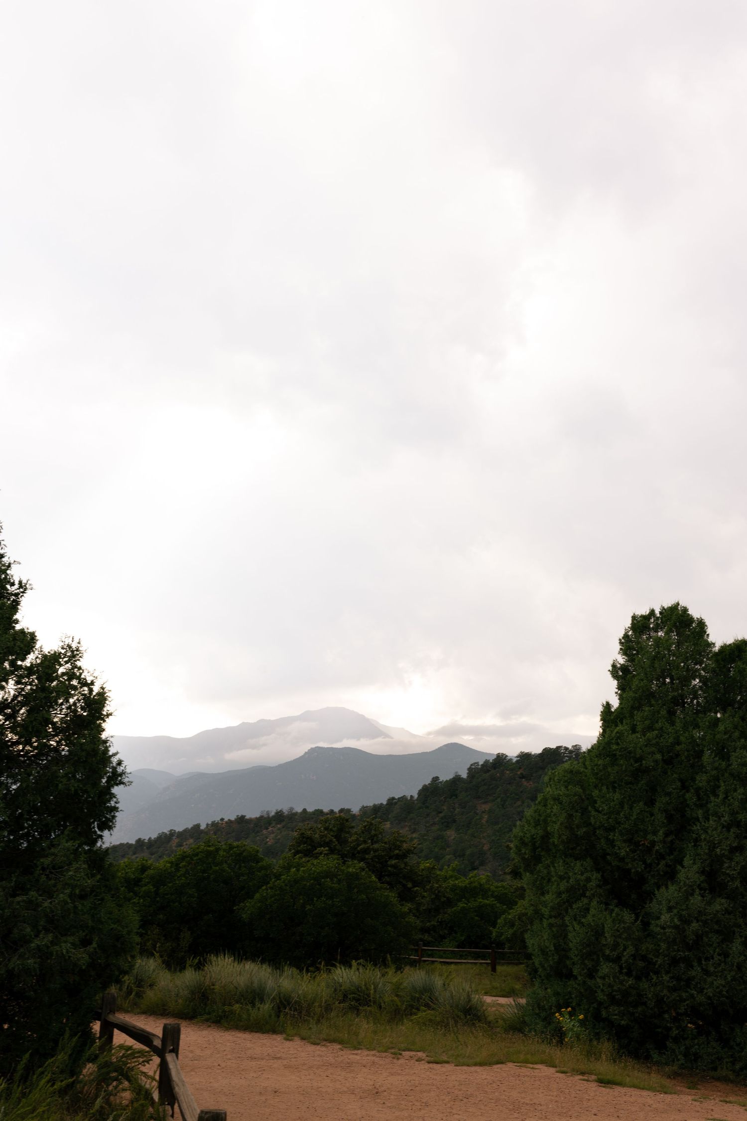 Overcast mountain landscape with lush green trees and dirt path at Garden of the Gods.
