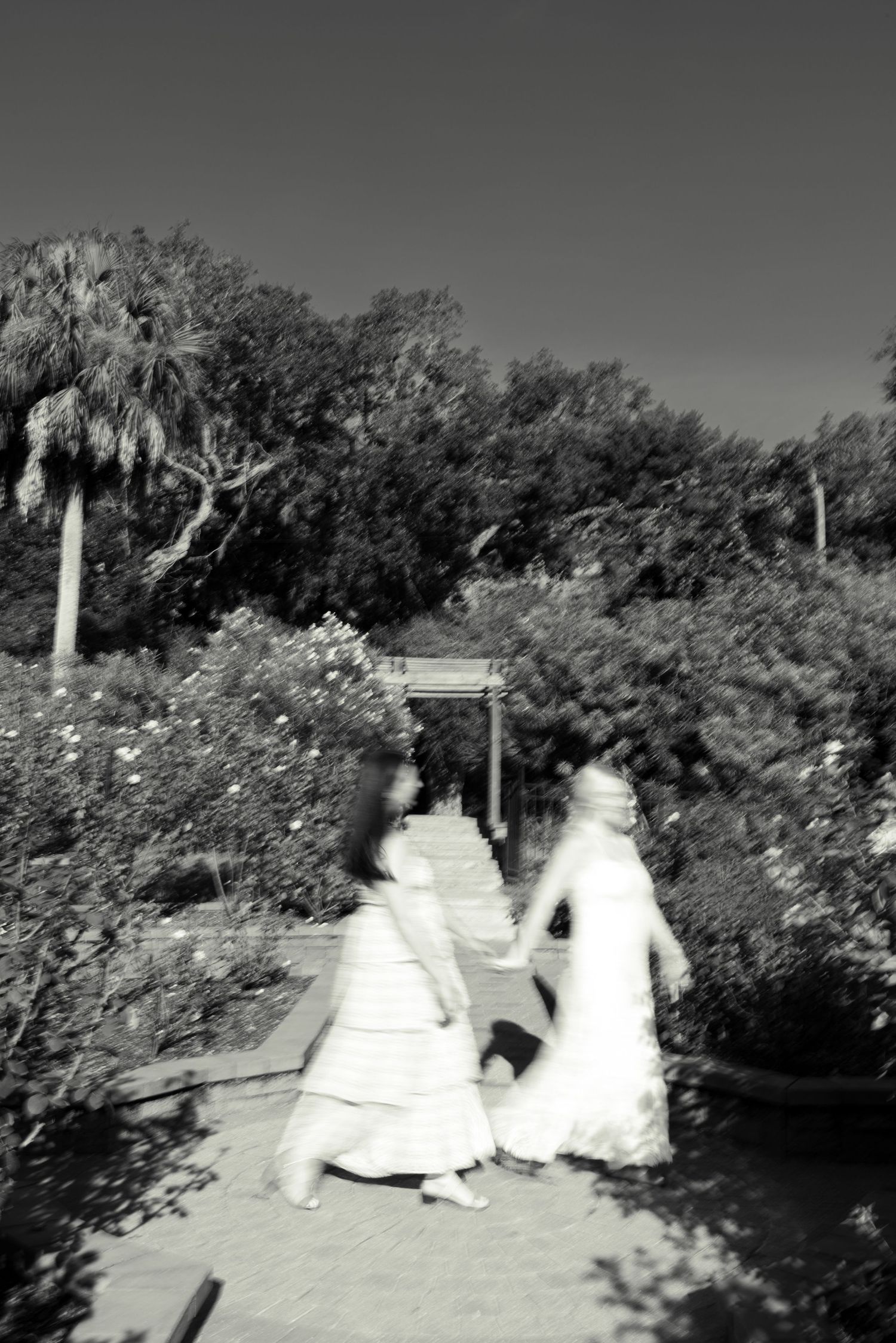 Two brides in white dresses hold hands walking through a lush garden pathway in a black and white wedding photo.