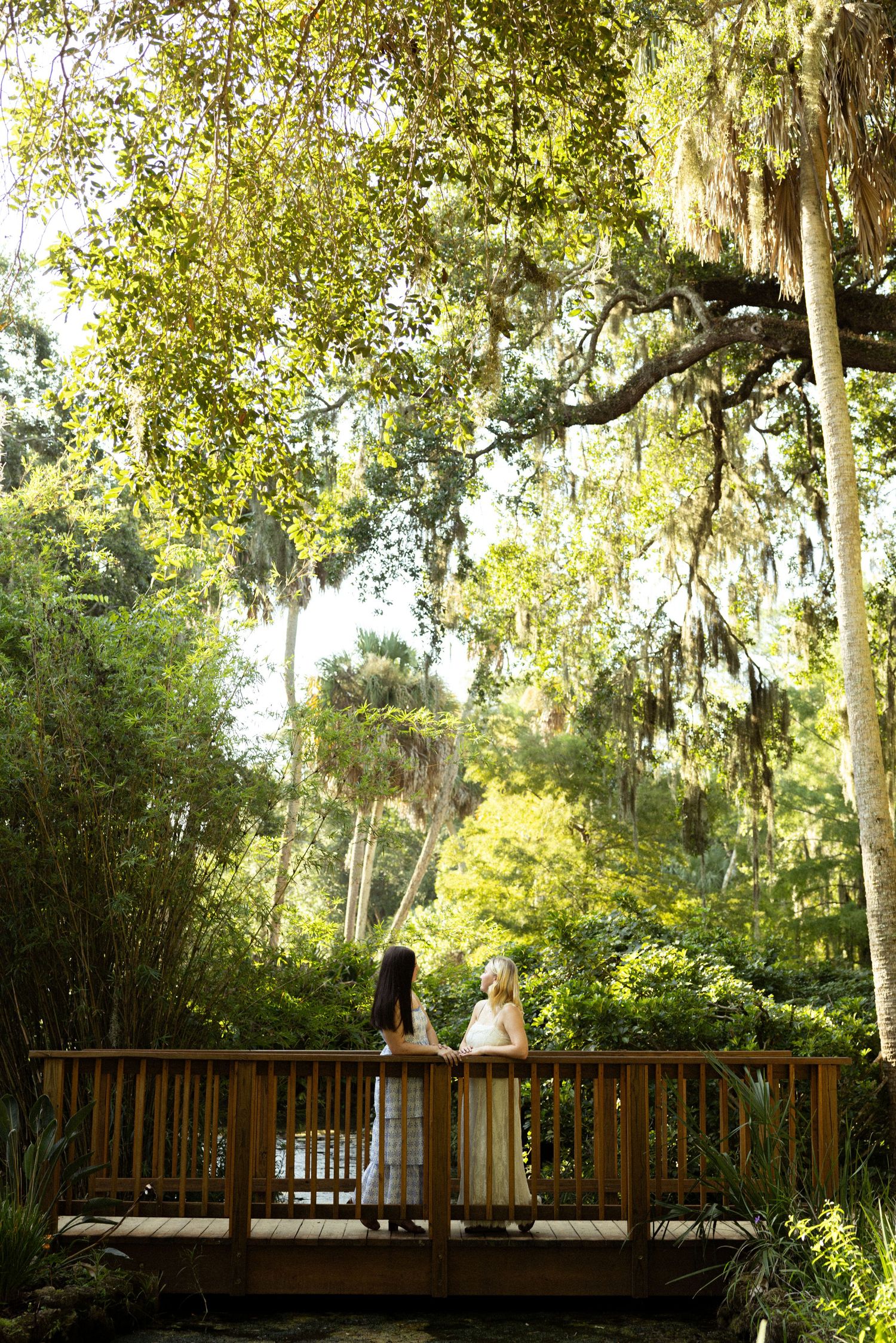 Lesbians stand on a wooden deck, surrounded by lush green trees draped in Spanish moss, in a tropical garden at Washington State Oak Park.