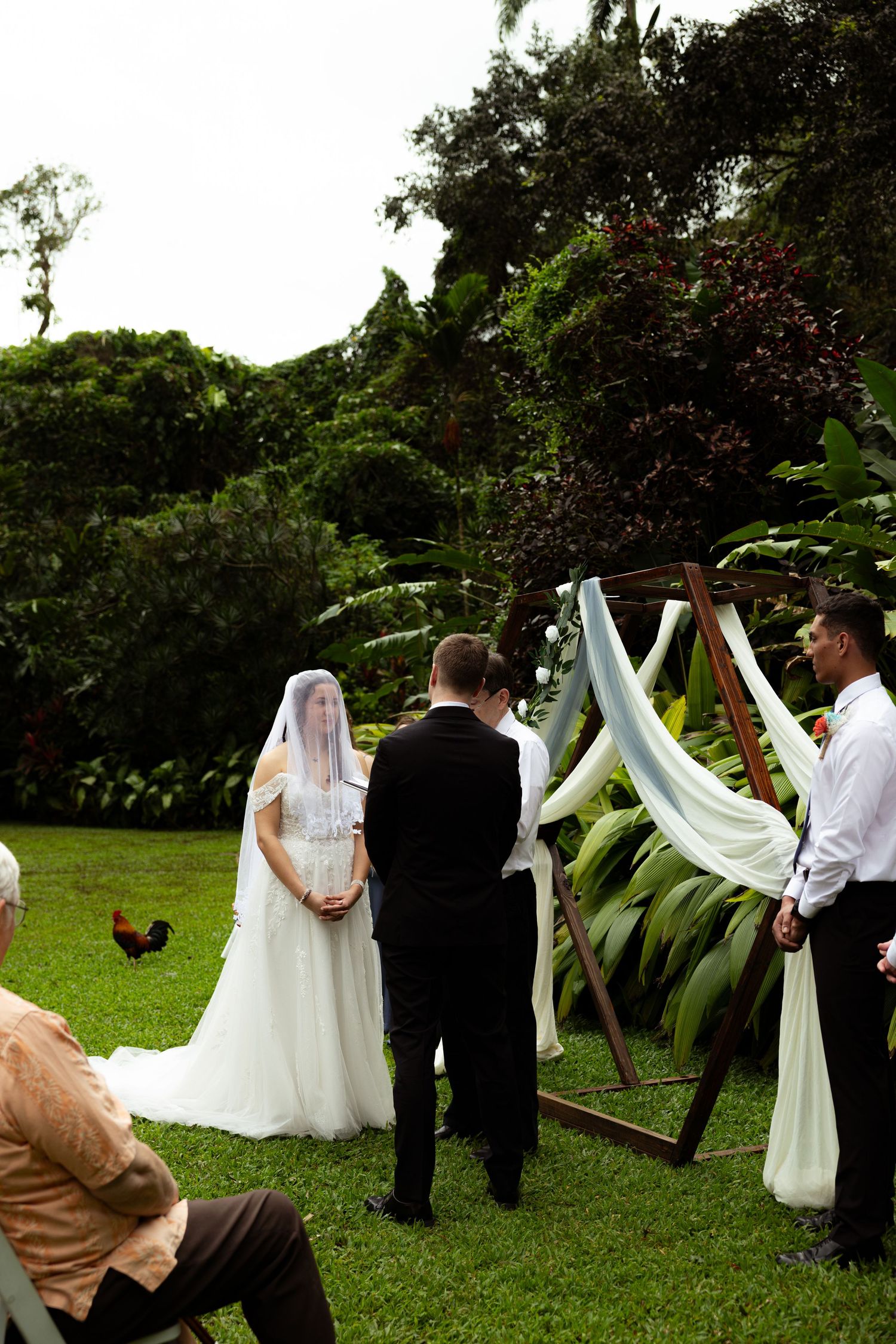Outdoor wedding ceremony with bride in white gown and veil, groom in black suit, at a wooden arch with white draping.