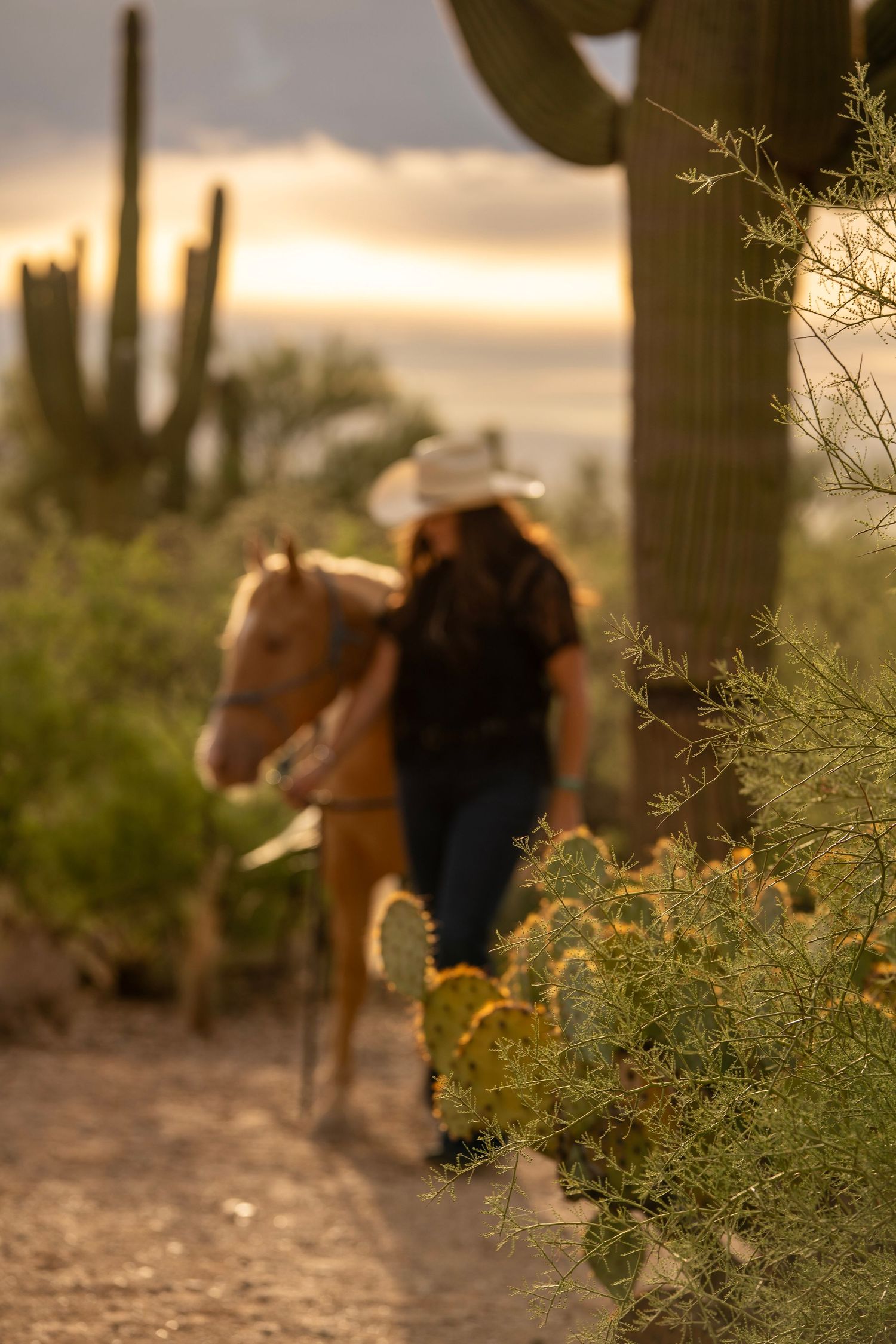 Cowgirl walking her horse in the golden hour desert