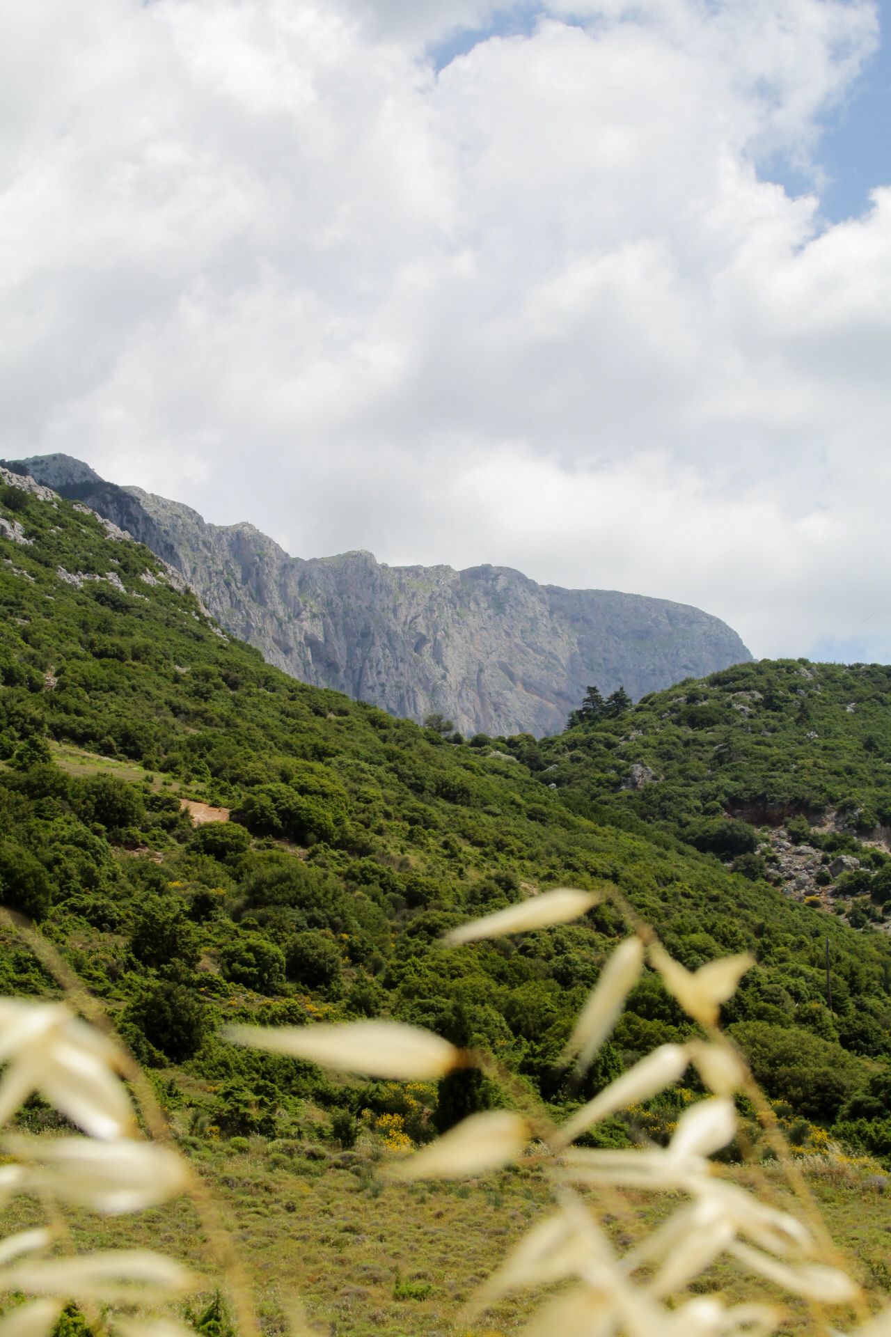 Greece landscape