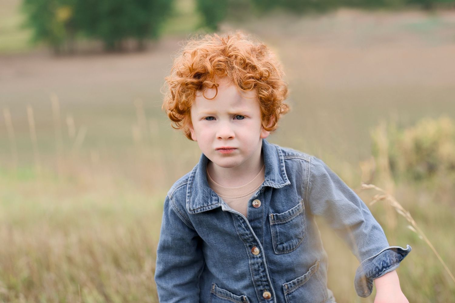 An outdoor portrait of a three year old red-headed boy. Taken at Lory State Park near Bellevue or Fort Collins, Colorado.
