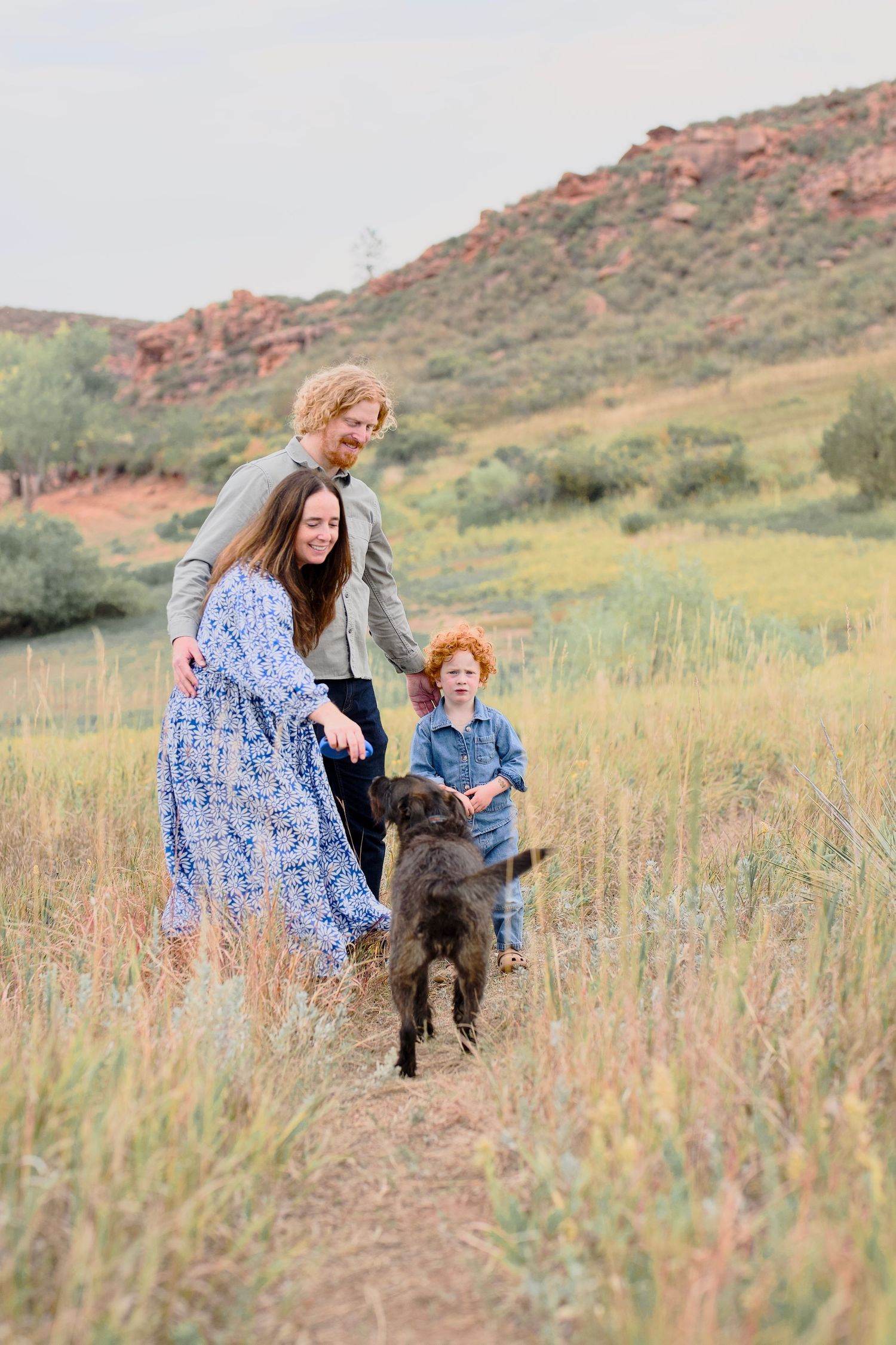 A family portrait with pet dog in wildflower meadow with mountains. Taken at Lory State Park near Bellevue or Fort Collins, Colorado.