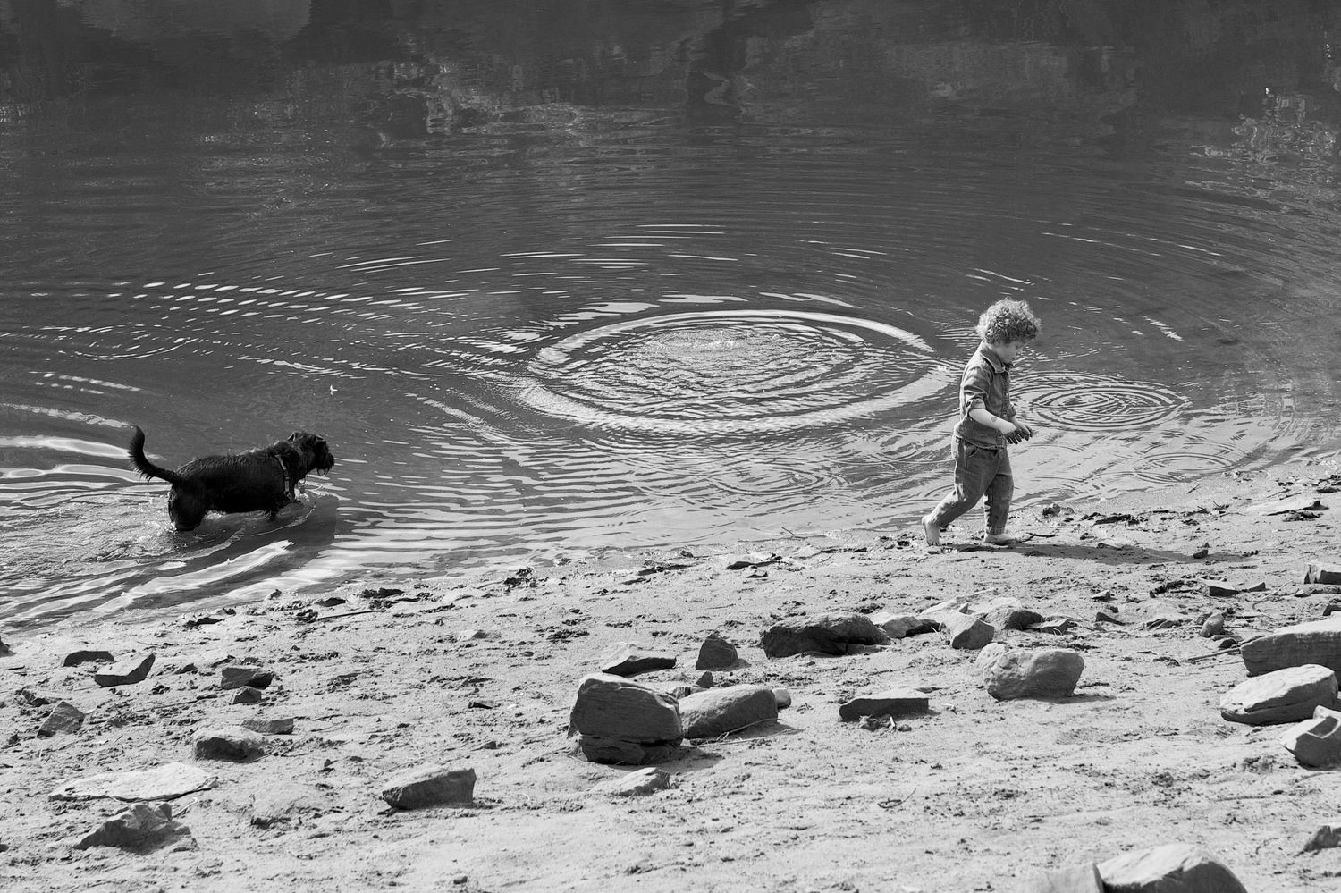 A black and white photograph of a boy and his pet dog playing in the water at Lory State Park. Documentary photograph style.