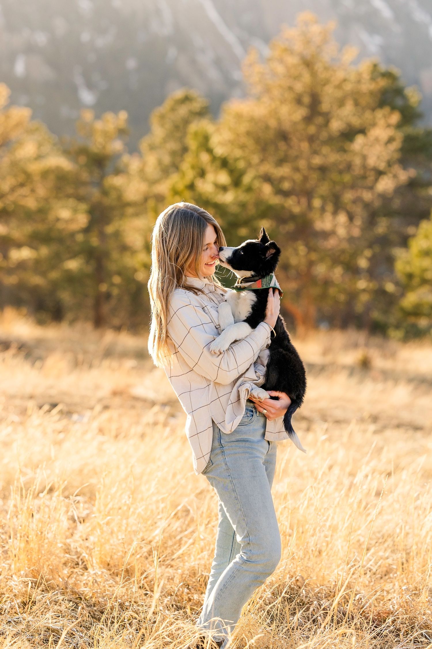 Someone holds and plays with a small black puppy in a golden field at sunset.