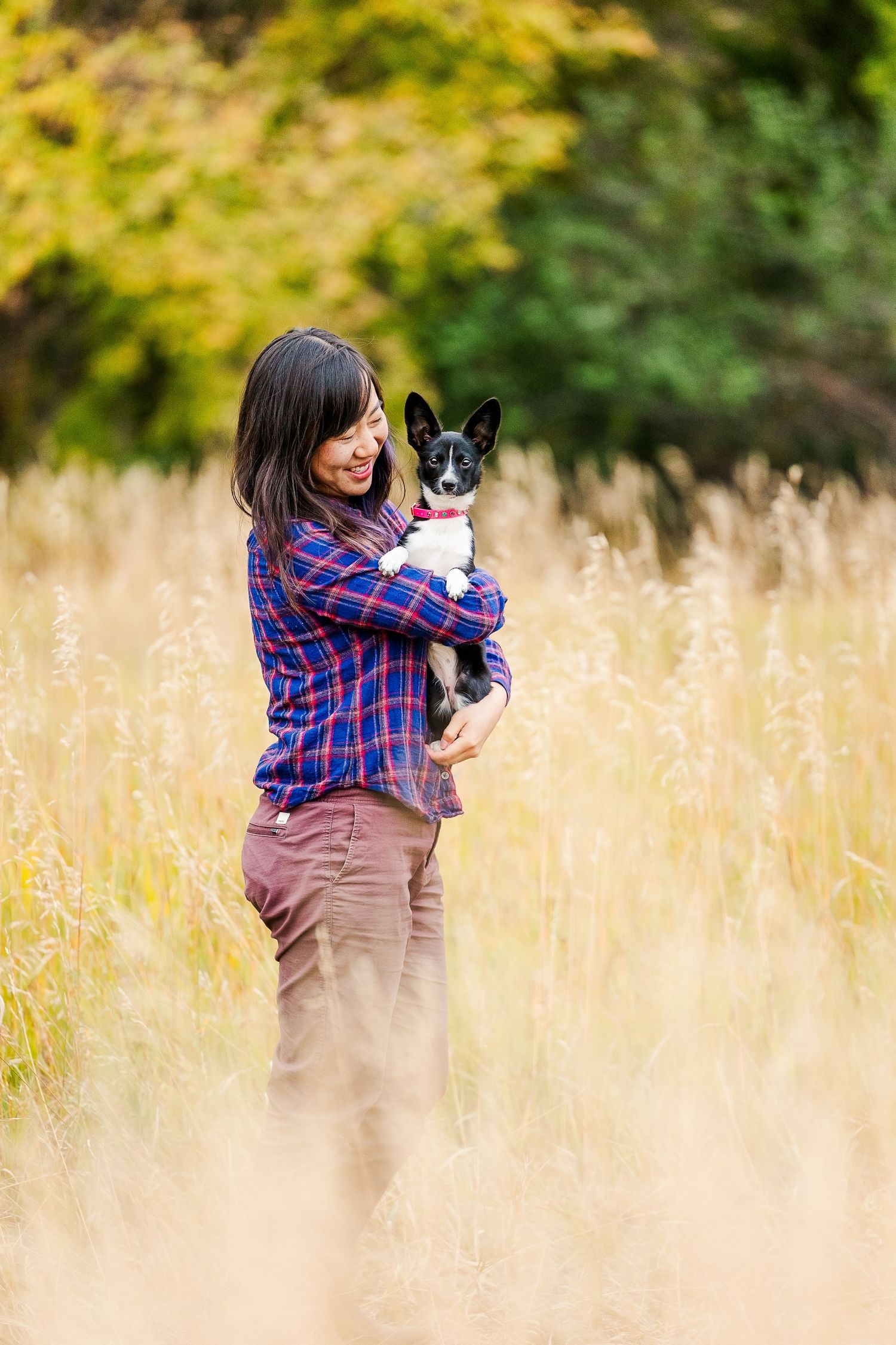Person in plaid shirt hugging black dog in tall grass field.