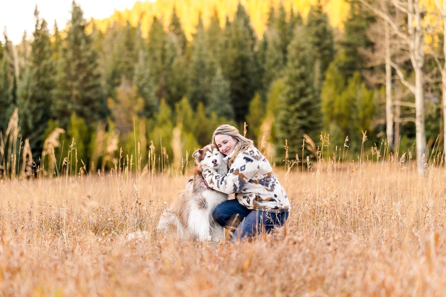 People relax in a sunlit field with mountains and forest in the background.