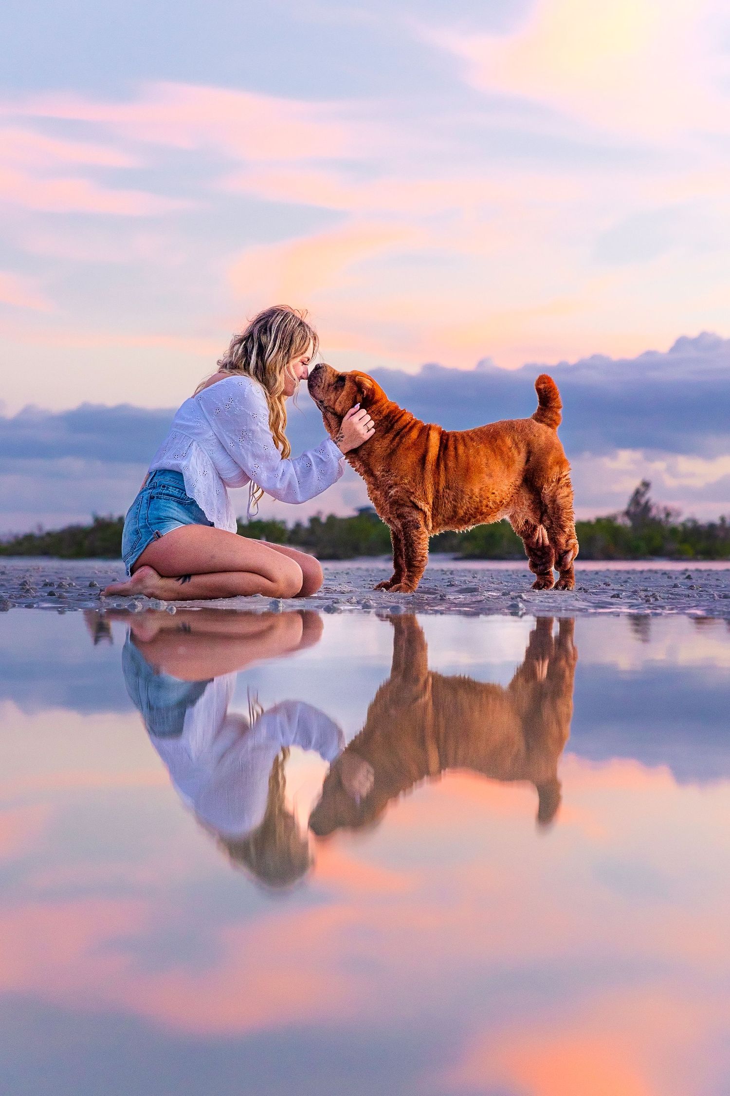 A brown dog and person reflect in still water during a pink sunset.