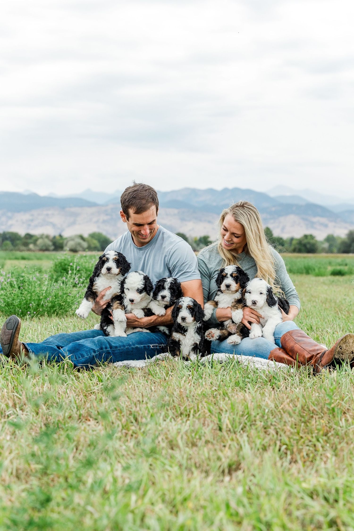 Couple relaxing in grassy field with three black and white border collie dogs against mountain backdrop.