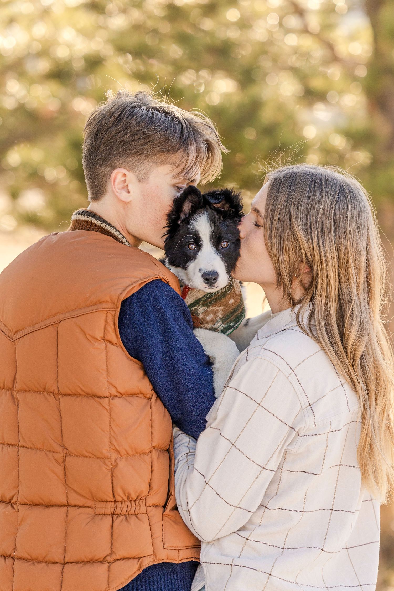 A Border Collie puppy is held lovingly between two people in warm autumn lighting.