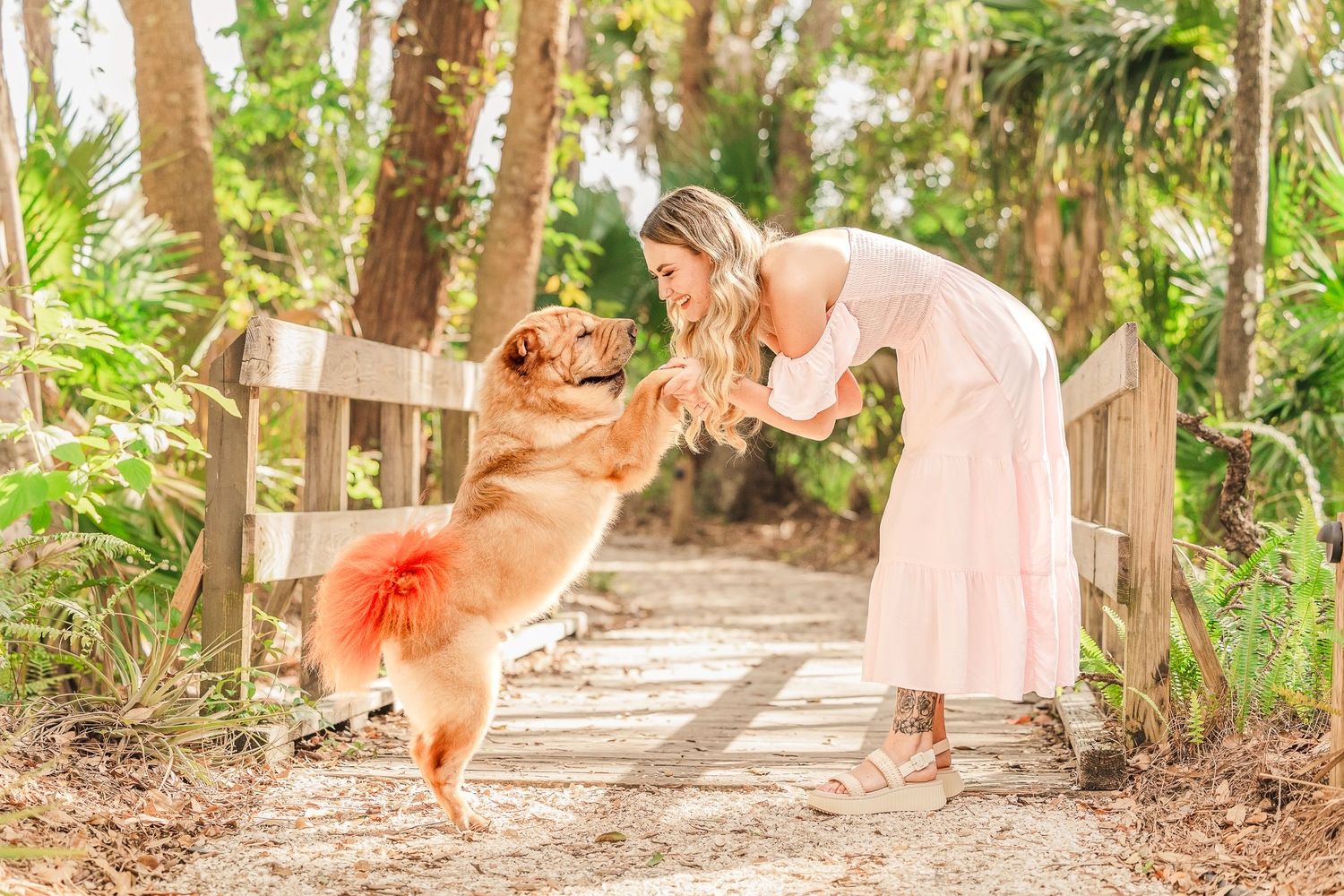 A playful golden retriever dog leaps and bounds through a wooded path in a series of action shots.