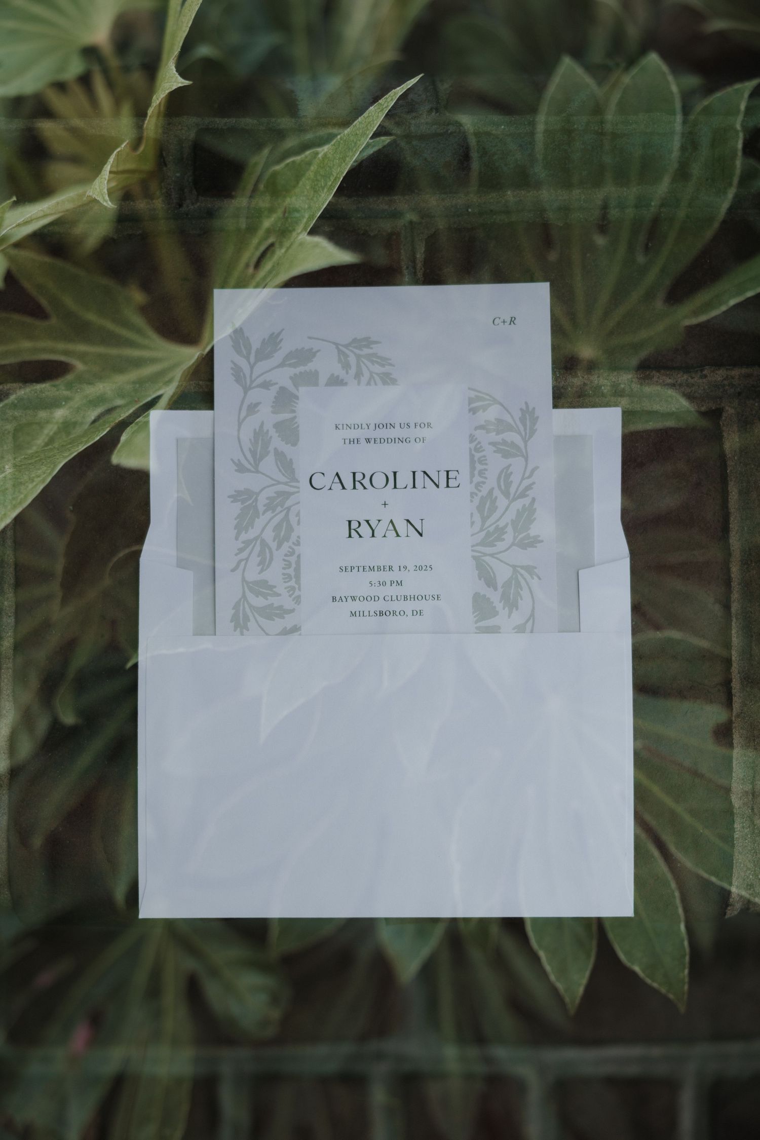 Wedding place cards with names displayed against a green foliage background show elegant typography and floral designs.