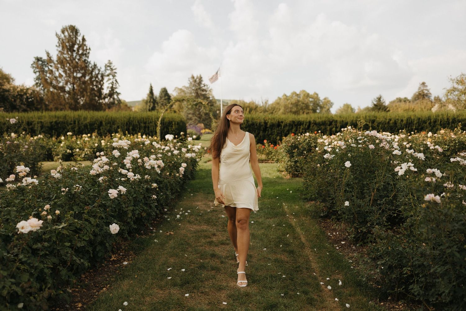 Woman in white dress walking through blooming rose garden rows with lush green hedges and trees in background.