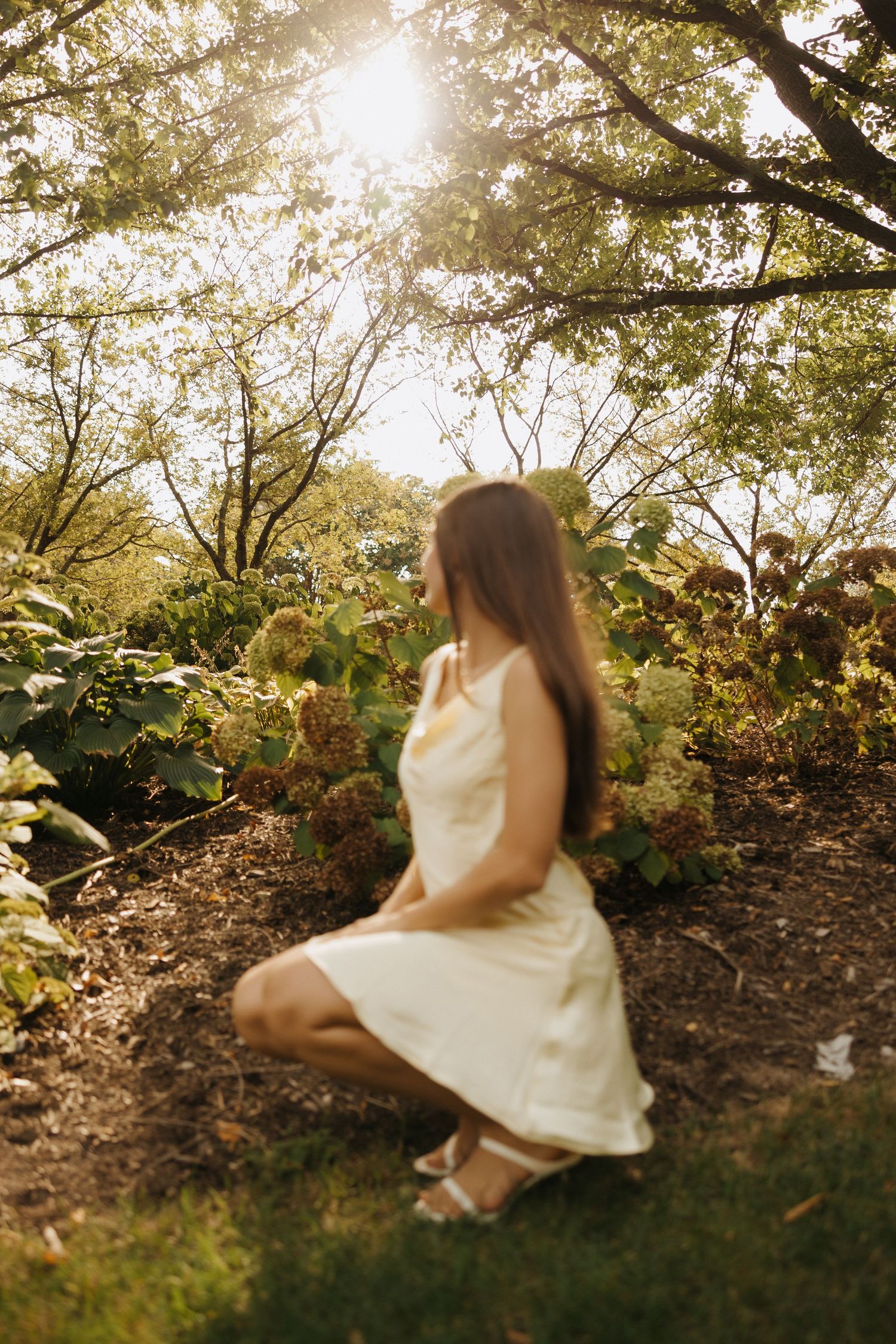 Sunlit garden scene with blooming flowers and trees creates a magical golden hour atmosphere for an ethereal photoshoot.