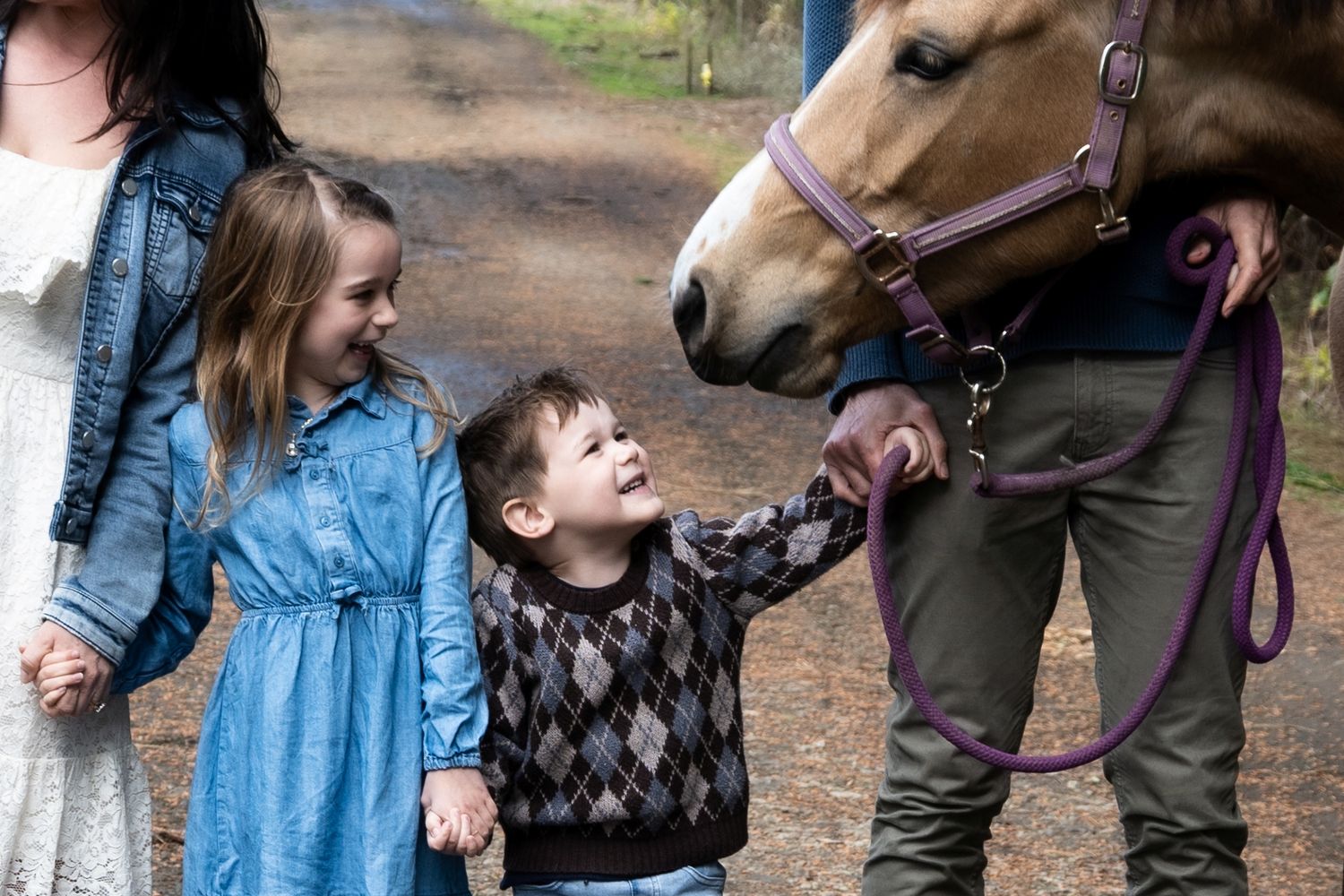 A young child interacts with a friendly brown horse while being supervised by an adult on a wooded trail.