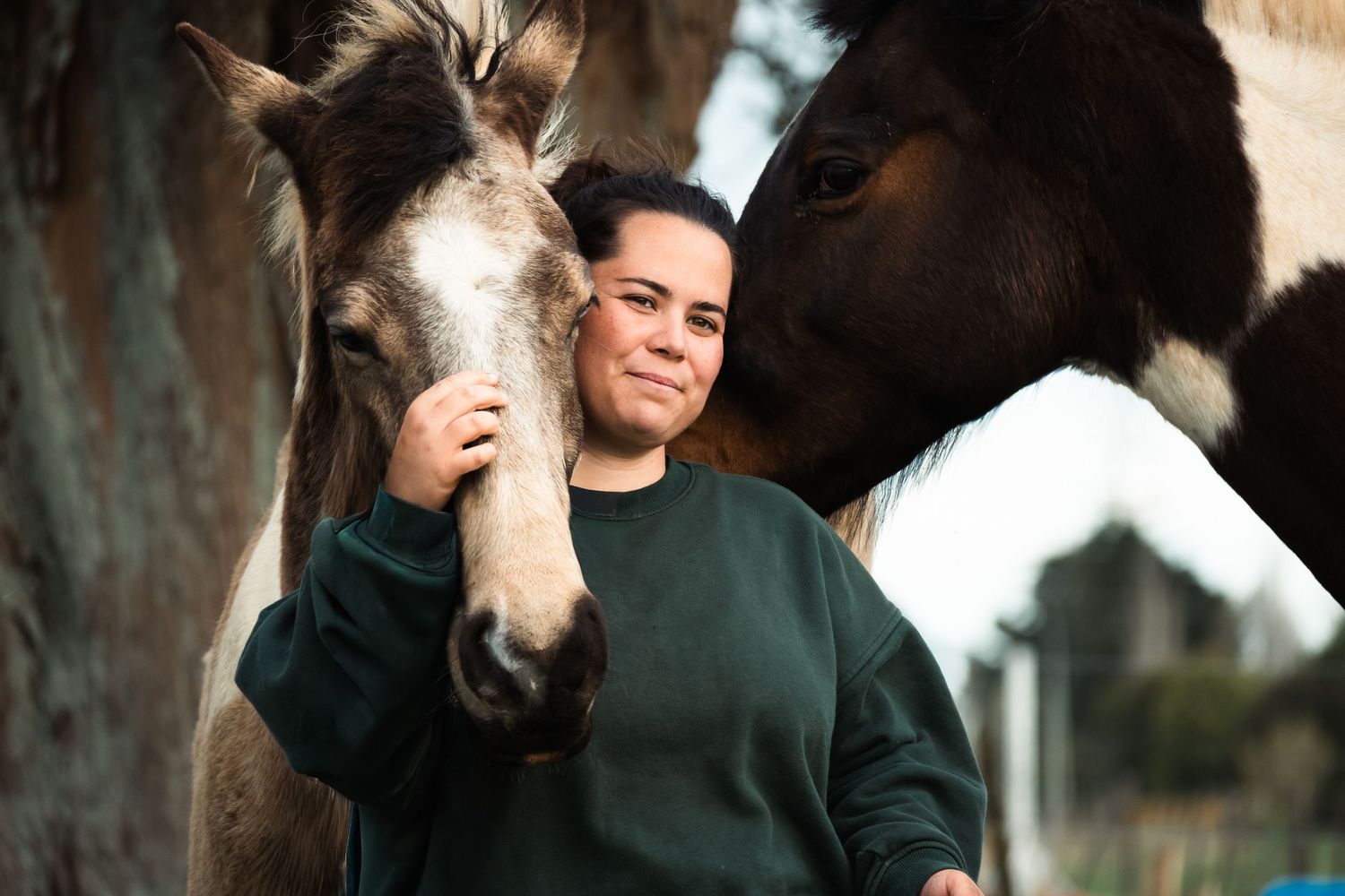 A person in a dark green sweater hugs and pets a light-colored horse outdoors.