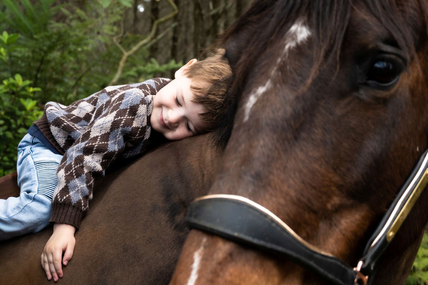 A person leans against a brown horse while resting their head on its neck in an affectionate pose.