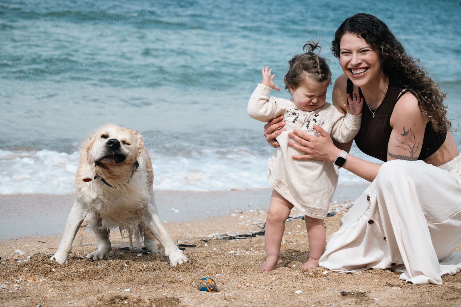 A series of beachside photos showing people and a dog enjoying a sunny day by the ocean with white sand and blue water.