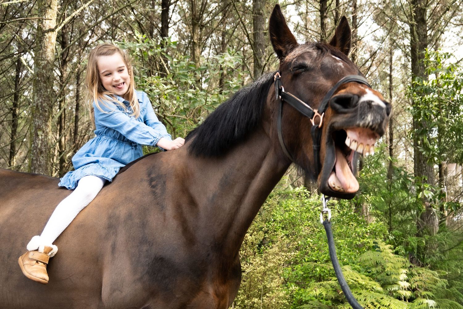 A child in denim sits atop a dark brown horse while walking through a wooded forest trail.