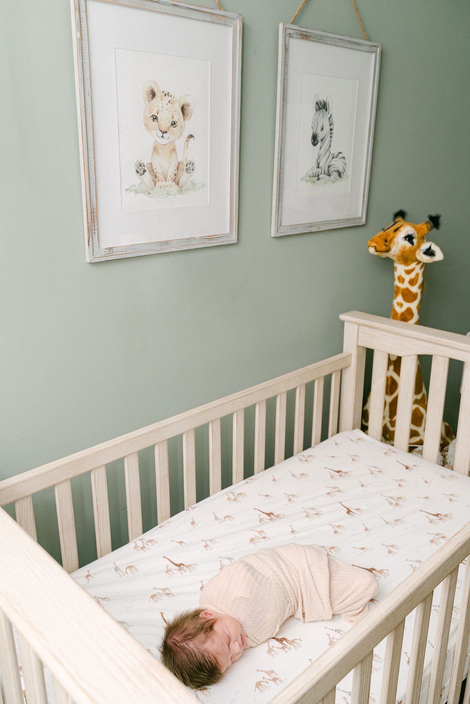 A nursery with sage green walls features a white crib, animal artwork, and a sleeping baby inside.