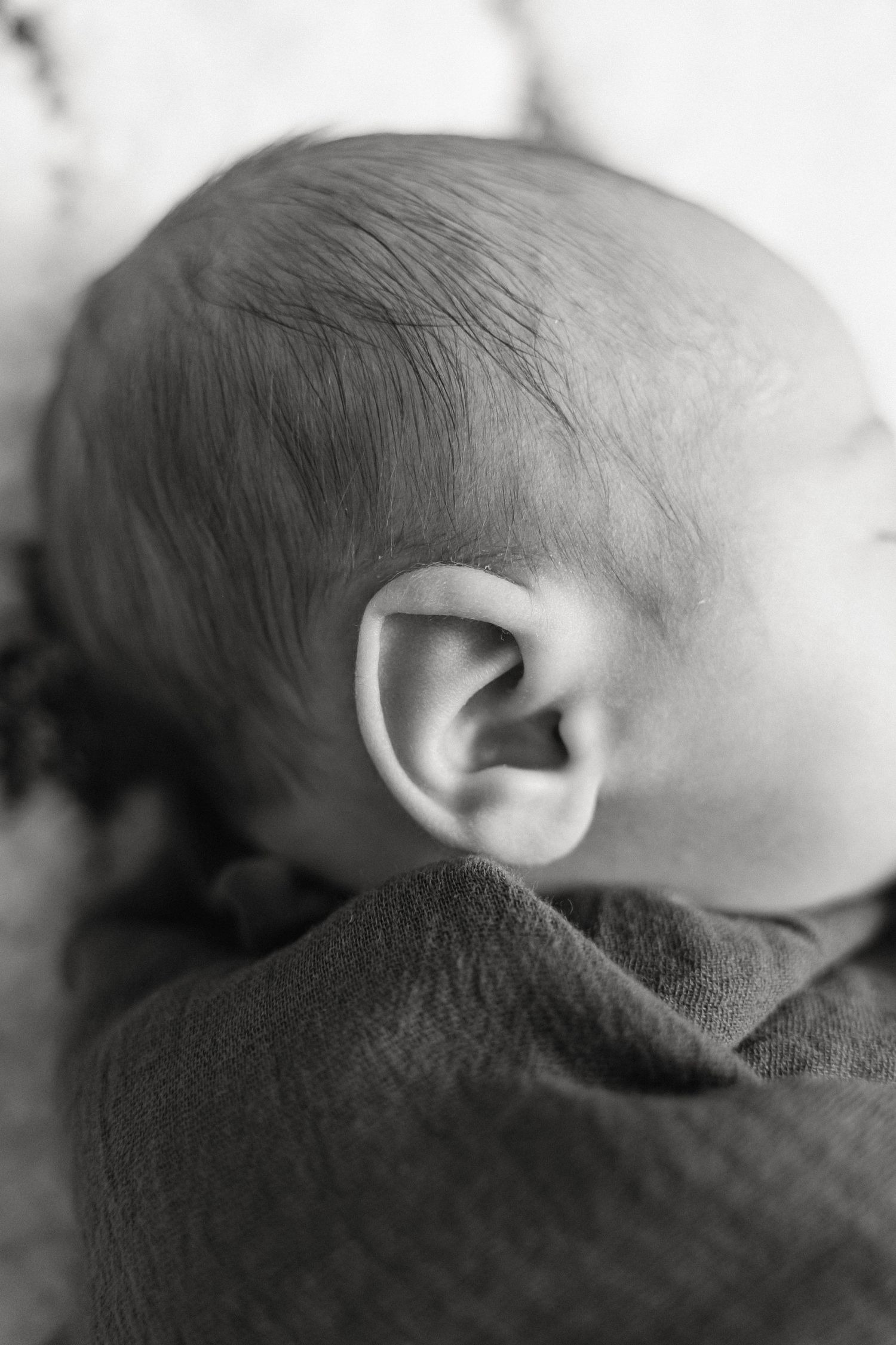 Black and white profile view of a sleeping infant swaddled in dark fabric.
