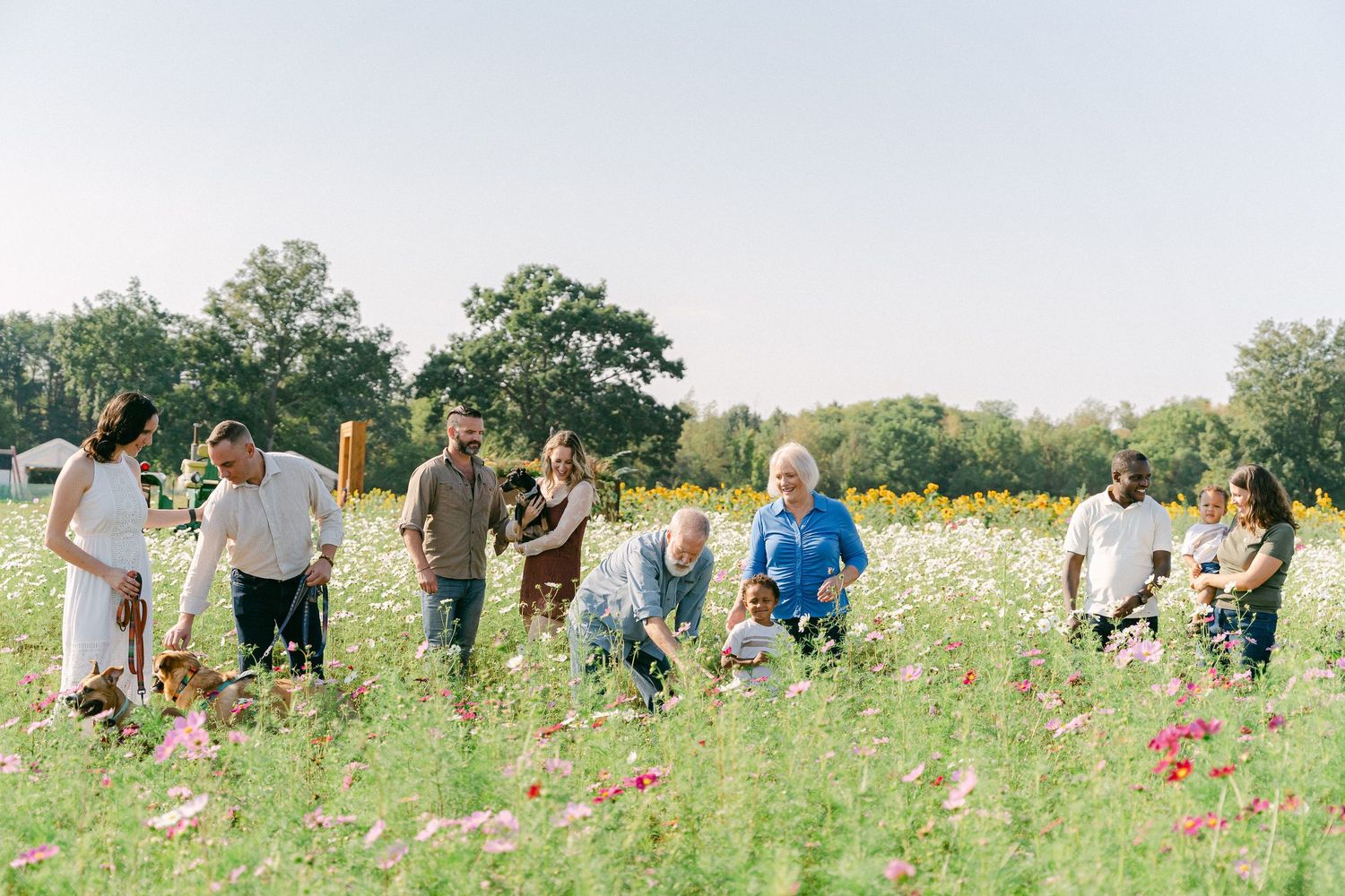 A group of people gather in a lush wildflower field on a sunny summer day.