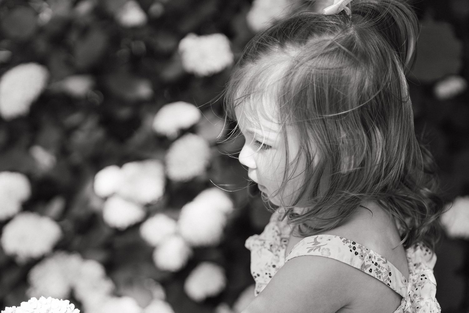 A black and white photo series shows a child with a flower looking in different directions against a floral background.