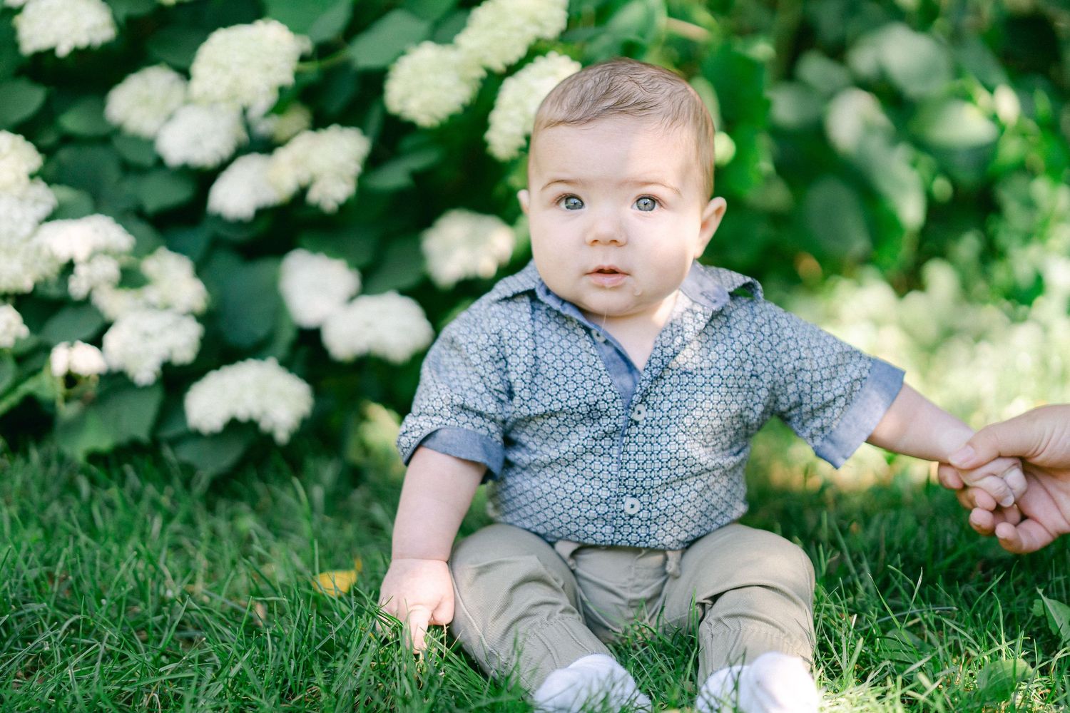 A small child in a polka dot shirt and gray pants sits in lush green grass surrounded by white flowers.