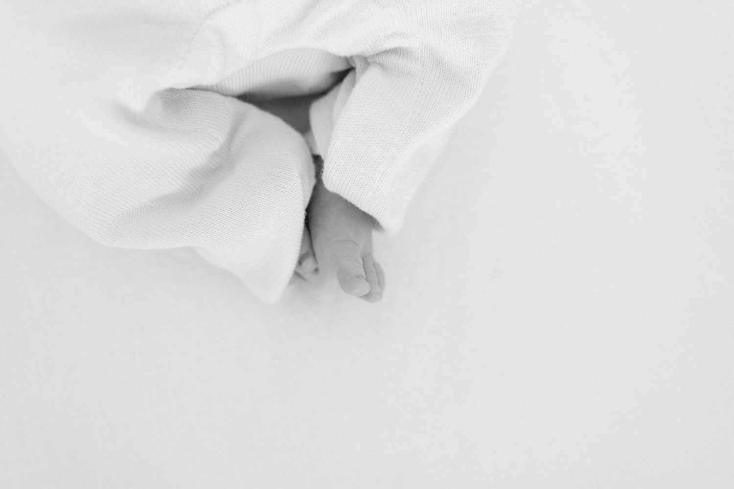 A white fluffy cat lounges on a bed with soft white bedding and pillows.