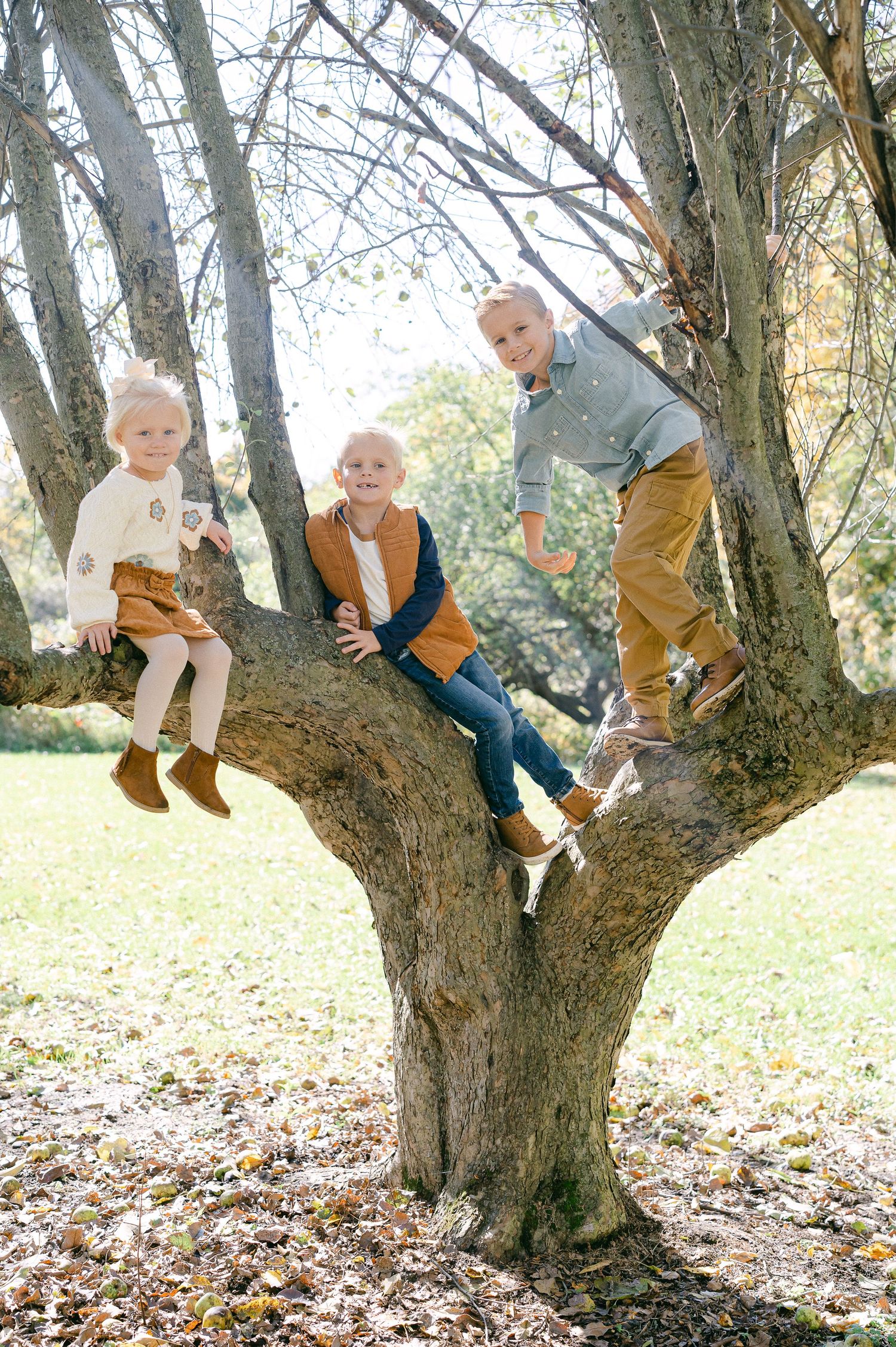 A sequence of photos showing children climbing and playing in a large branching tree on an autumn day.