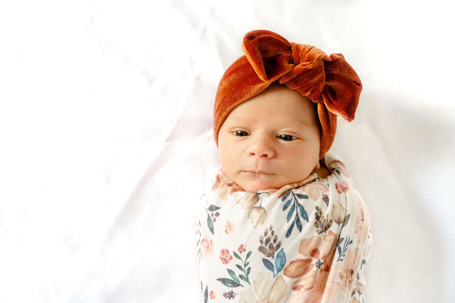 Newborn baby wearing a rust-colored bow headband against a white background.