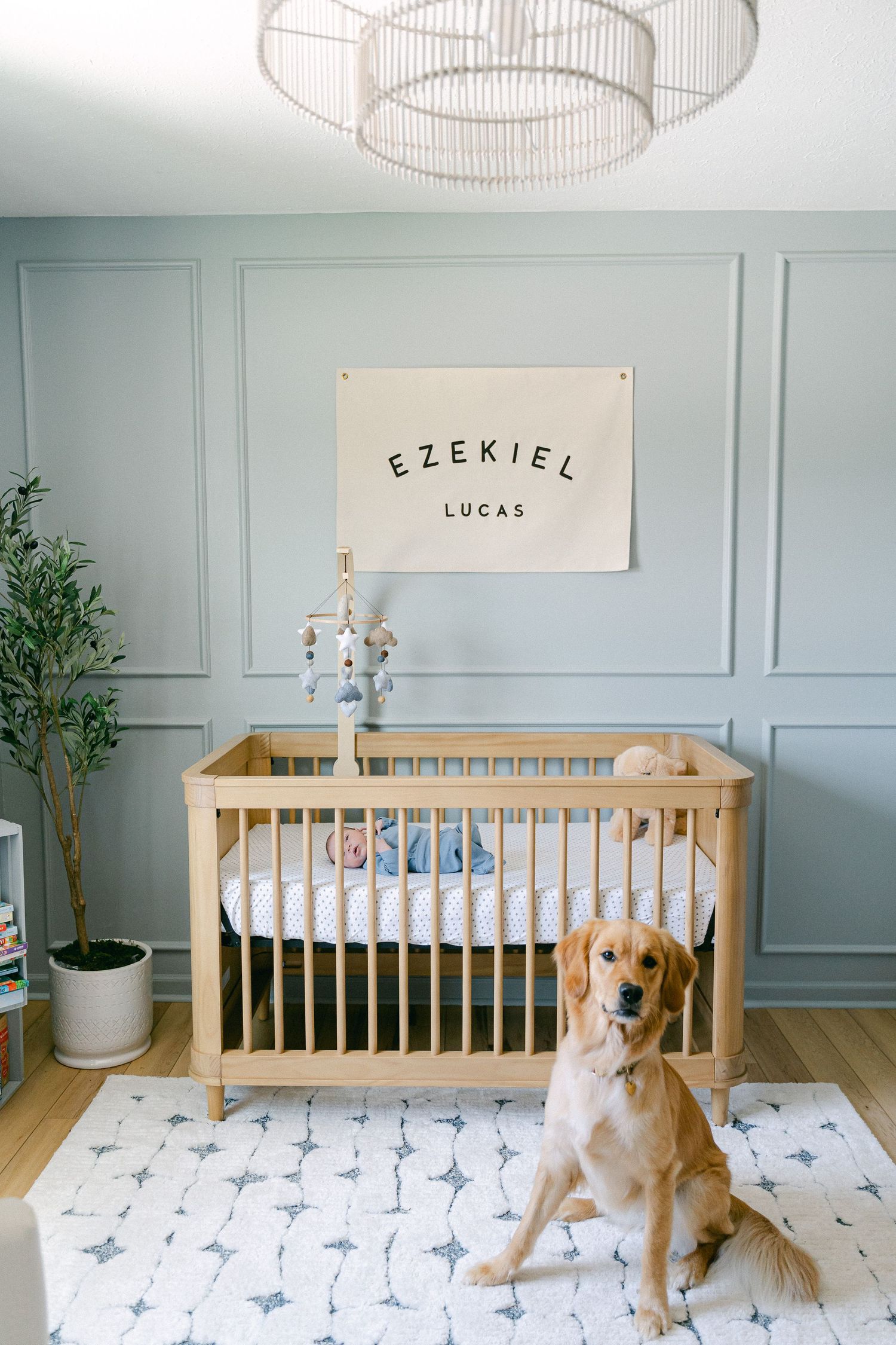 Nursery room with wooden crib, gray walls, white trim, and golden retriever dog sitting on patterned rug.