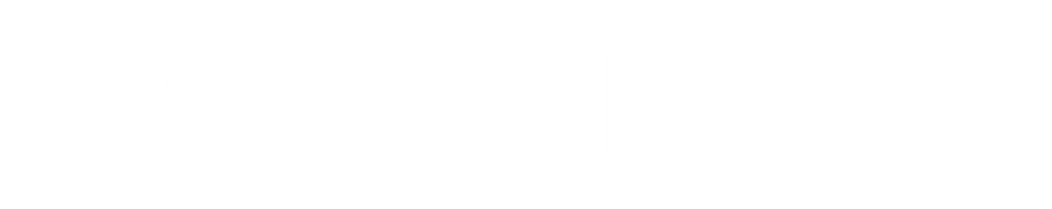 Empty white background suitable for text or design elements.