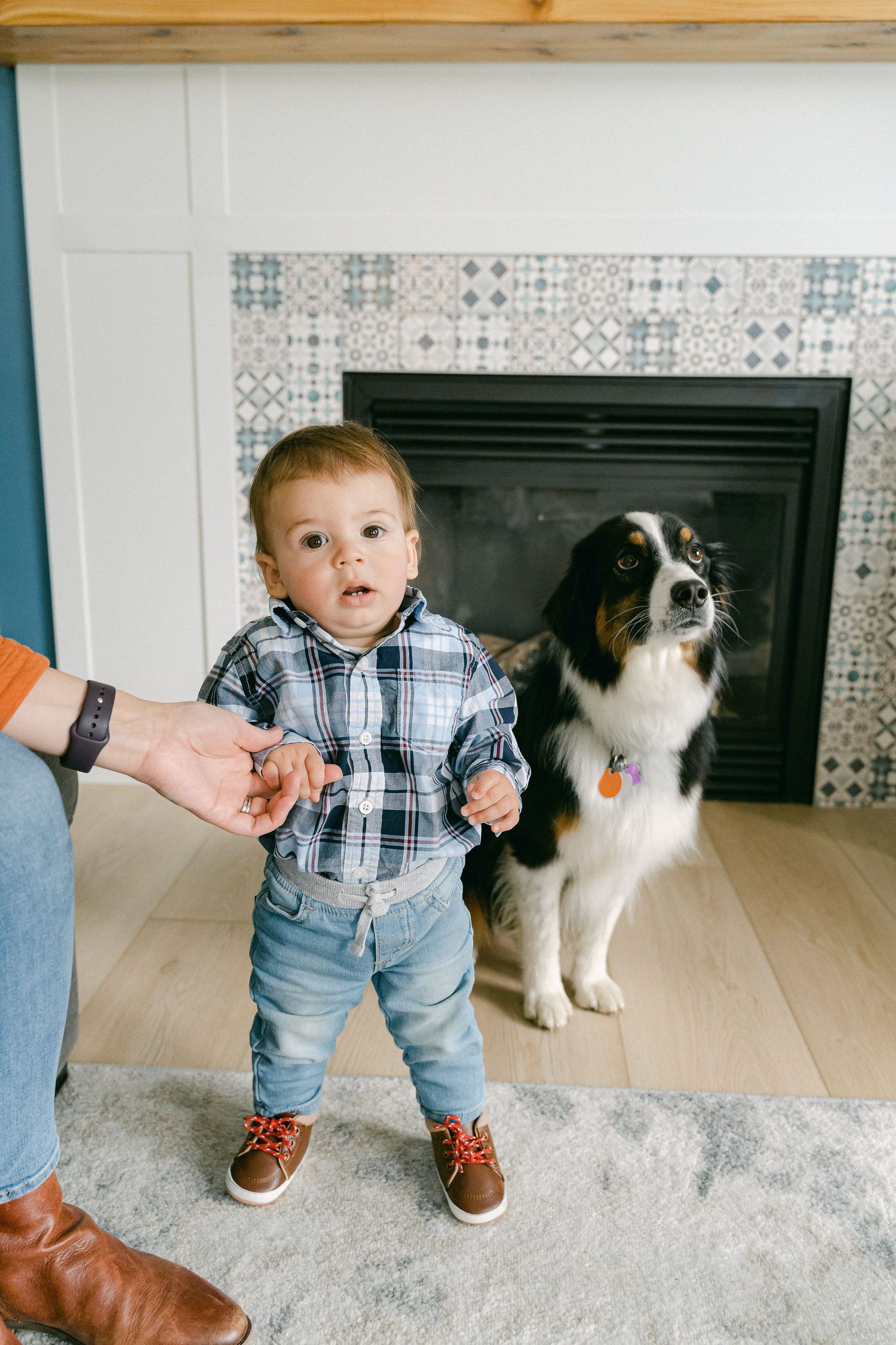 A small child in plaid and jeans stands near a black and white dog on a light wood floor.
