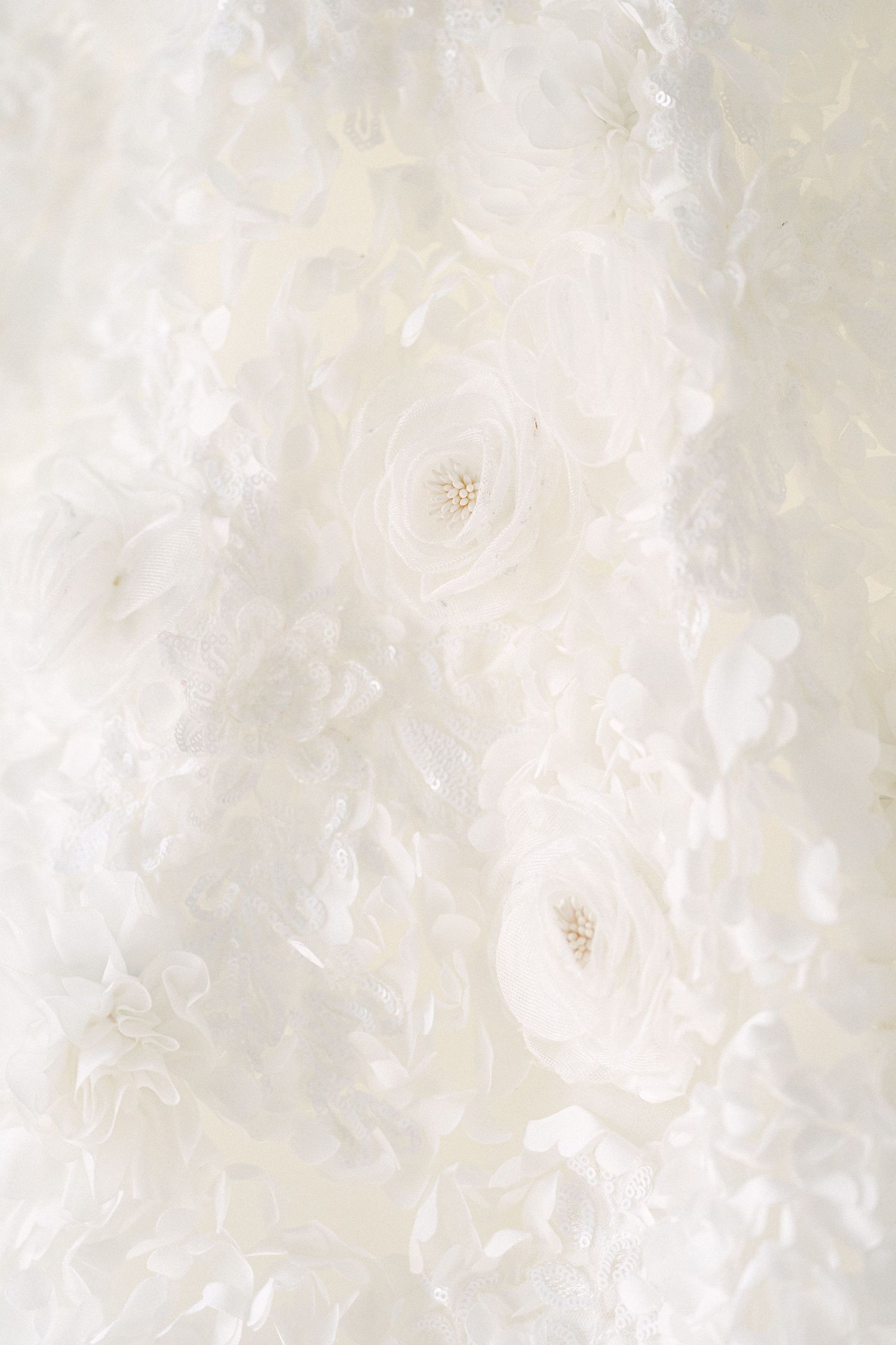 Close-up of elegant white floral fabric texture with delicate 3D roses and soft petals, perfect for bridal or wedding design.