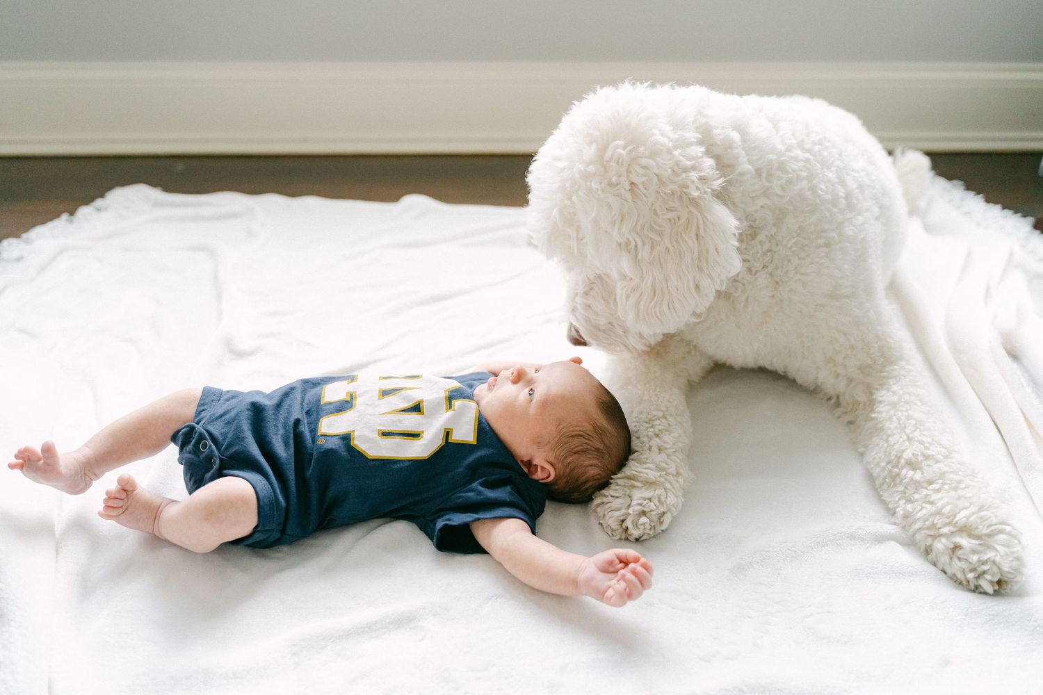 A series of photos showing a baby sleeping peacefully on a white bed with a fluffy white dog nearby.