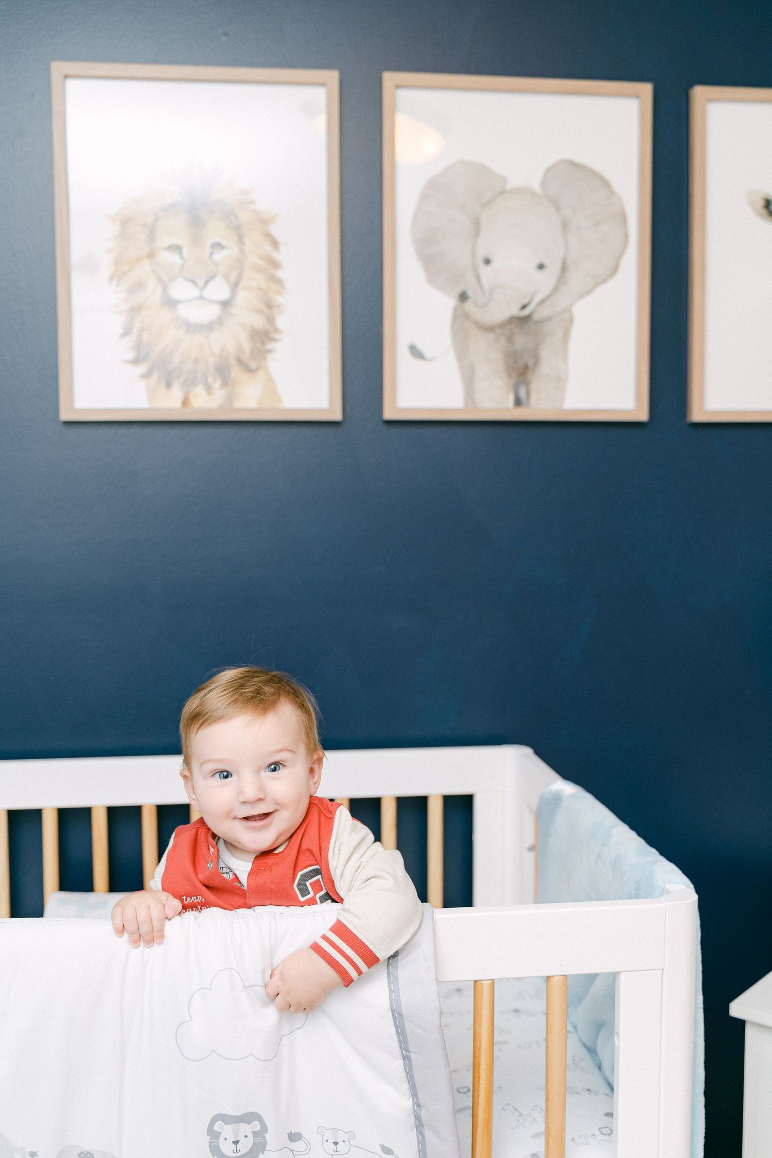 Baby stands in white crib against navy blue wall with animal artwork displayed above in nursery setting.
