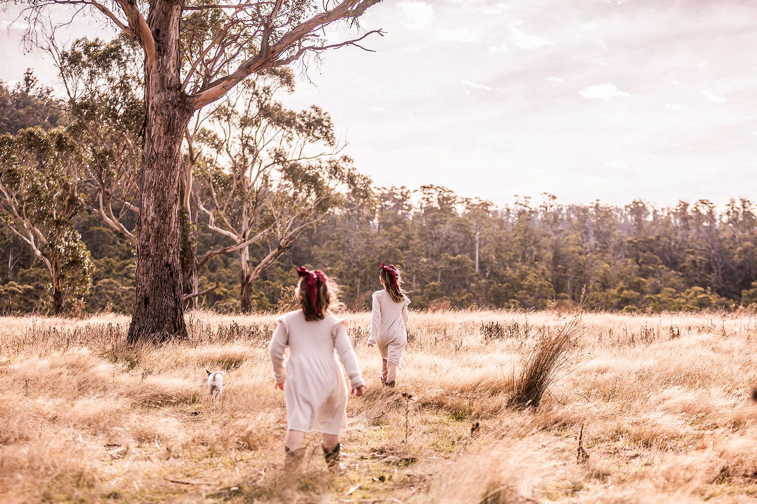 Two girls in white dresses walking through a golden grass field near a large gum tree in Australia.