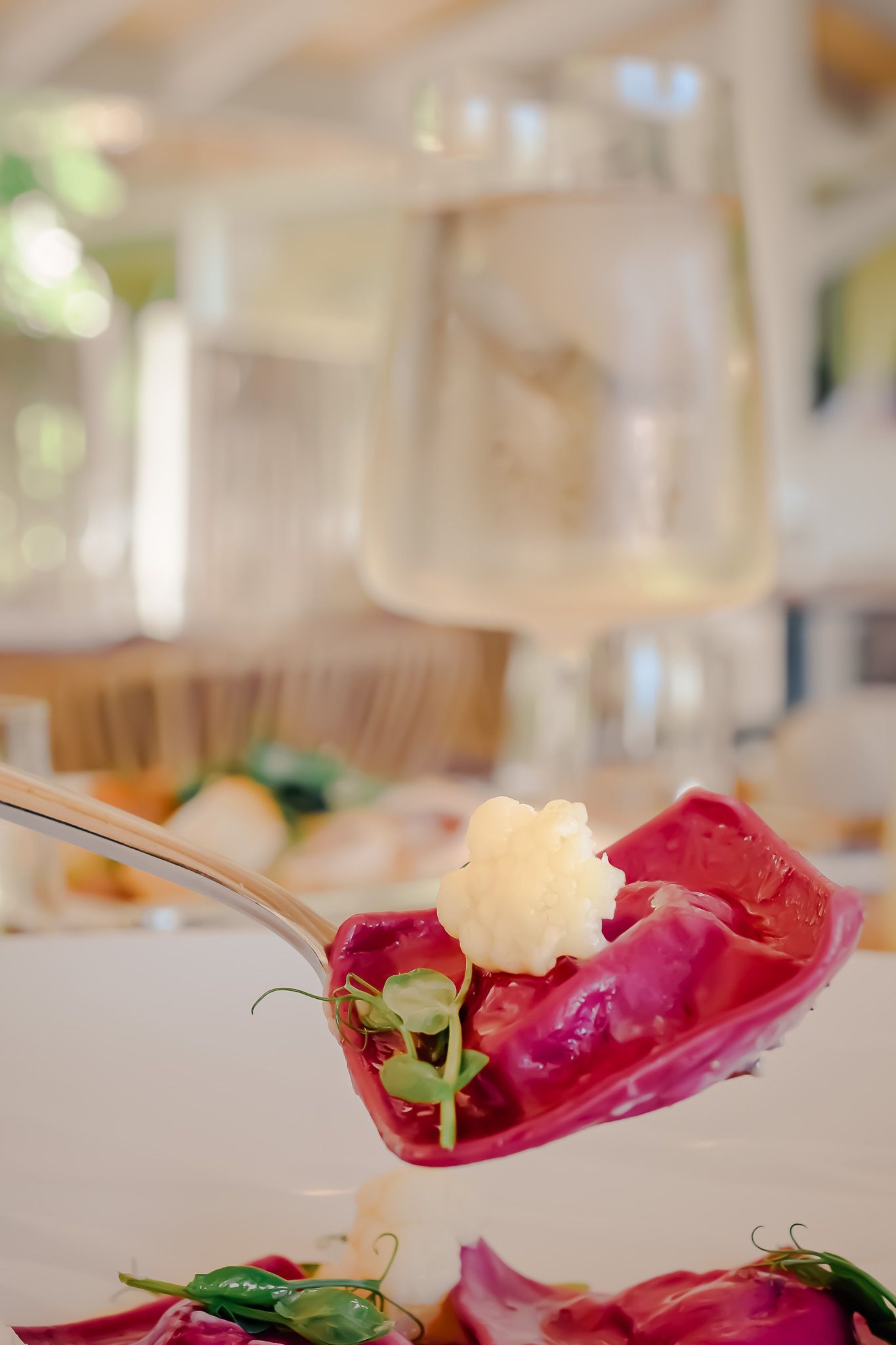 Close-up of a pink radicchio leaf garnished with delicate microgreens and white cheese on an elegant plated dish.
