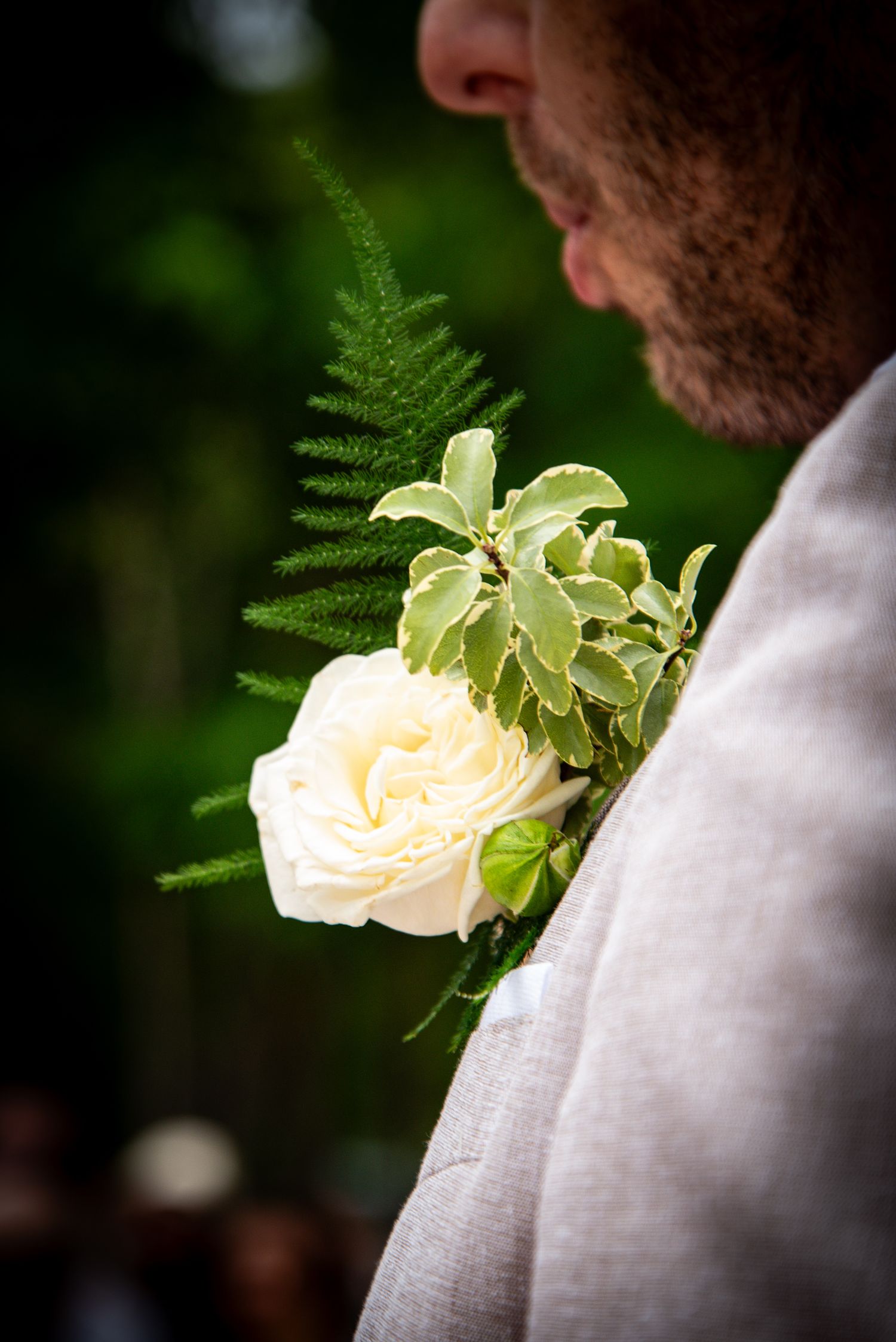 A delicate cream-colored rose with fern leaves adorns a light gray suit lapel as a boutonniere.