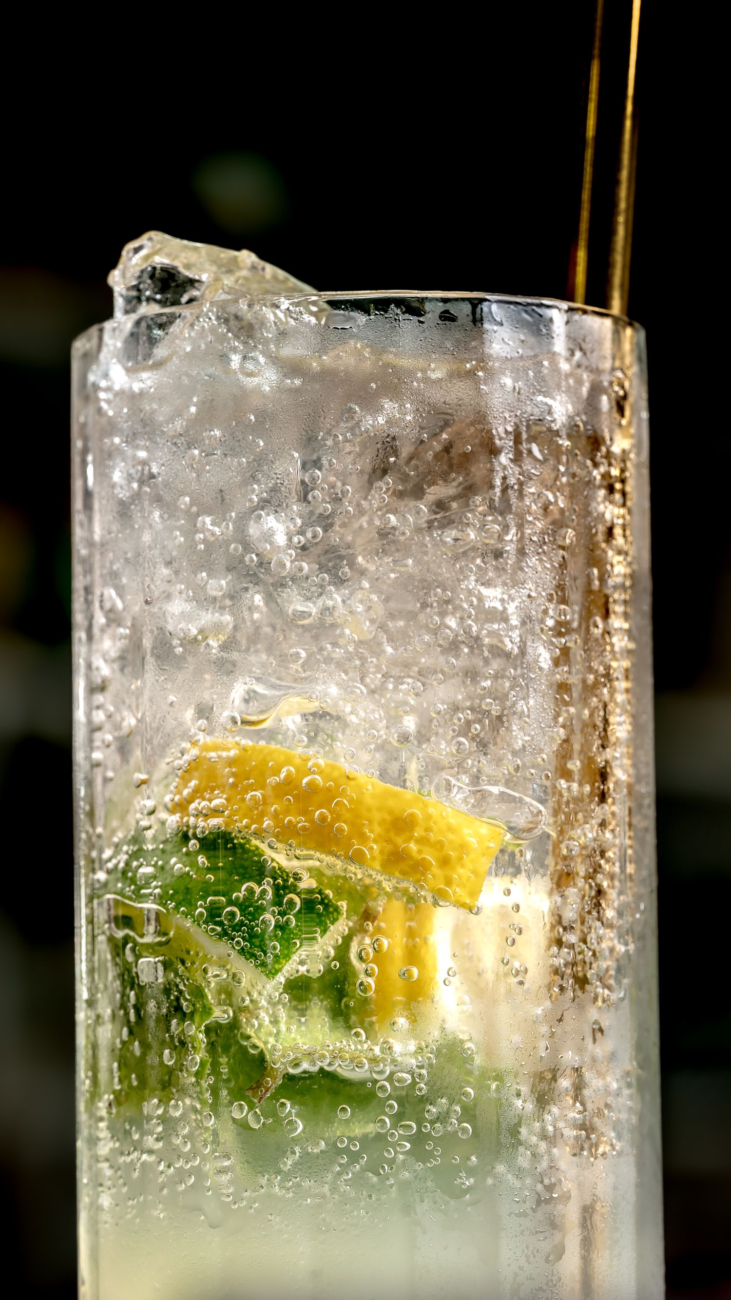 Close-up of a fizzy gin and tonic cocktail with lime and lemon slices, ice cubes, and carbonated bubbles in a tall glass.