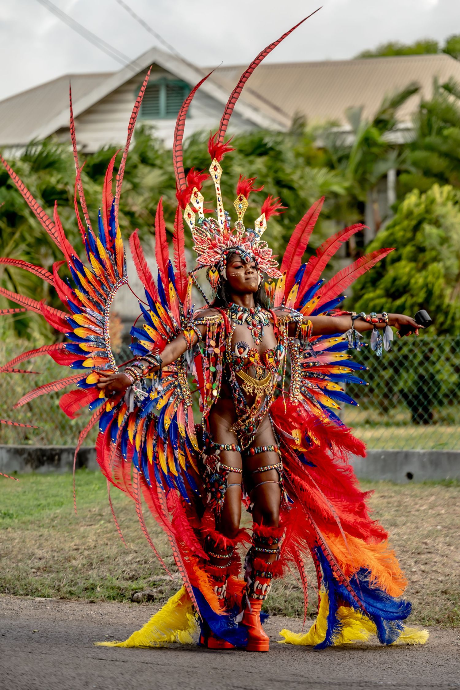 Vibrant carnival dancer in elaborate red, blue, and yellow feathered costume and headdress performing outdoors.
