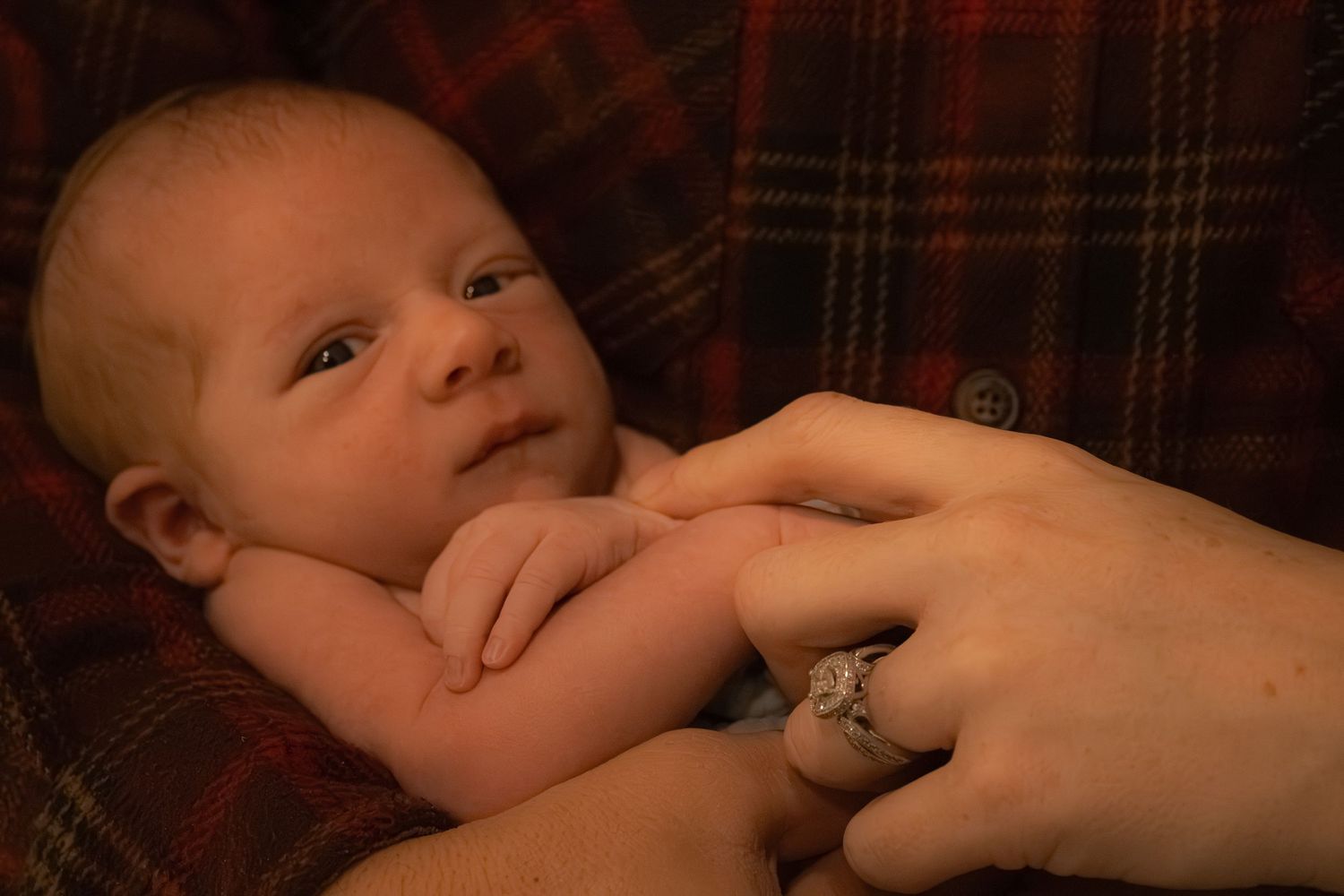 Newborn baby resting in adult hands on a plaid background, gazing upward with tiny fingers curled.